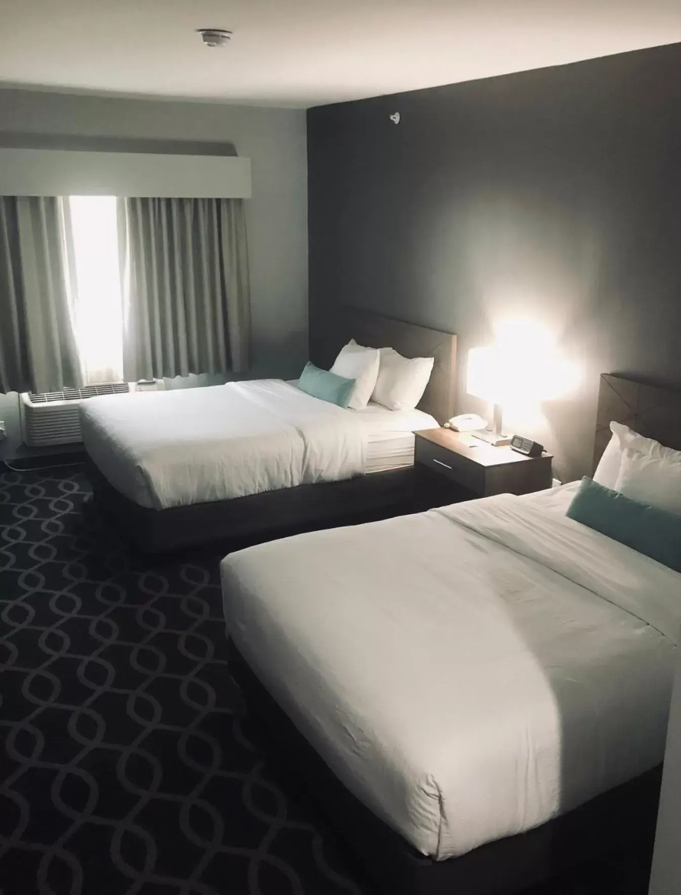 Photo of the whole room, Bed in Wingate by Wyndham Humble/Houston Intercontinental Airport