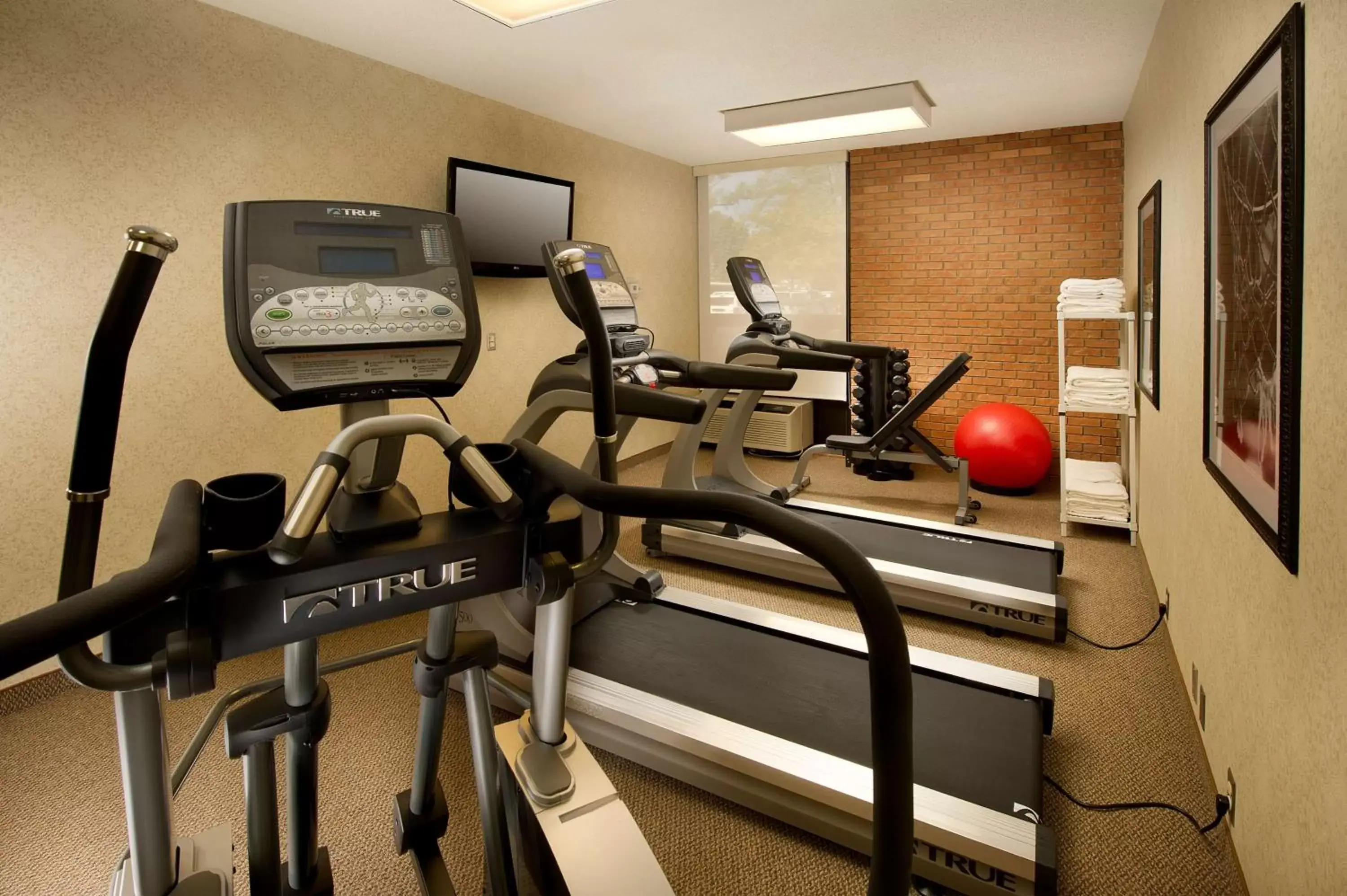 Activities, Fitness Center/Facilities in Drury Inn & Suites Frankenmuth