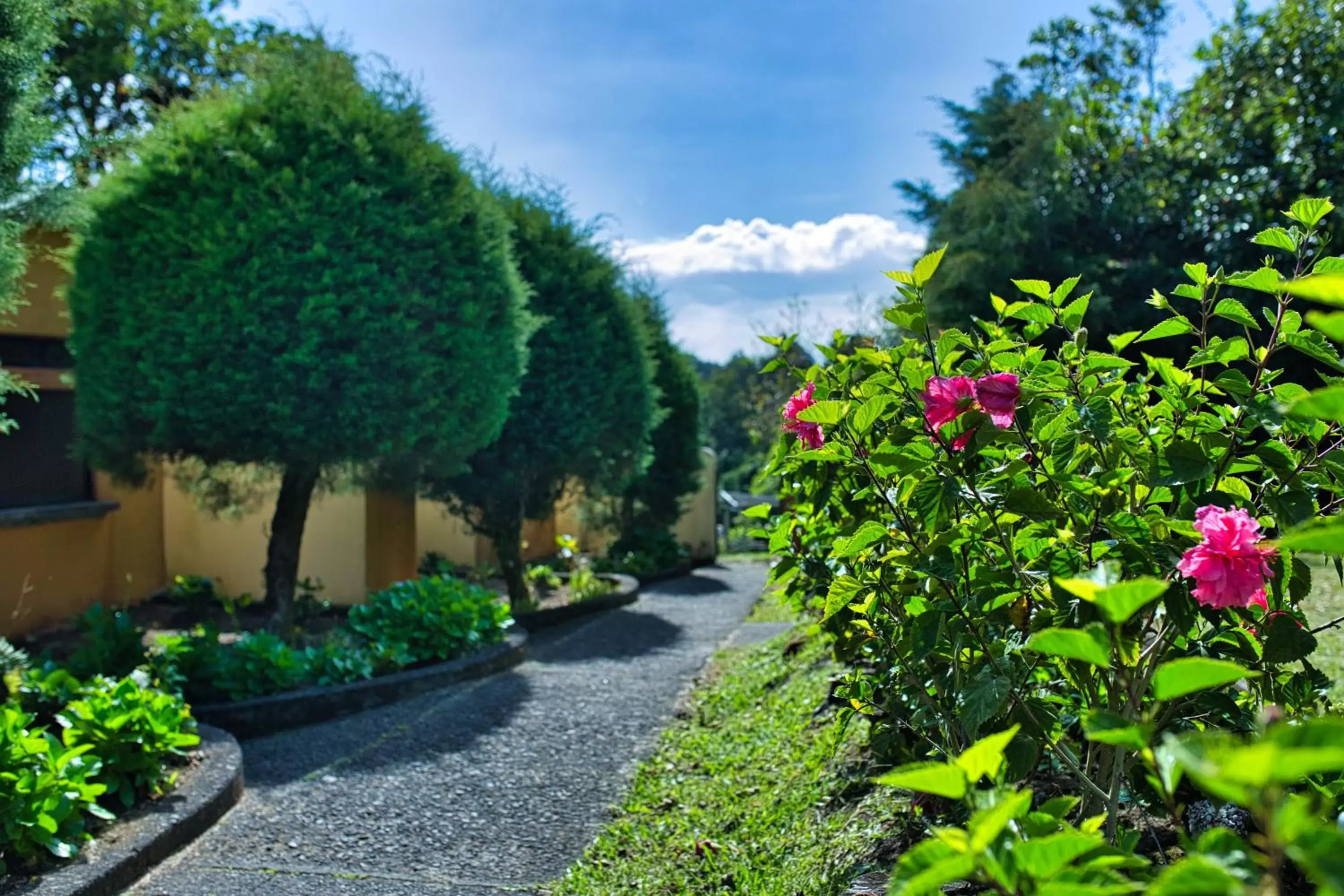 Garden in Hotel Villa Zurqui