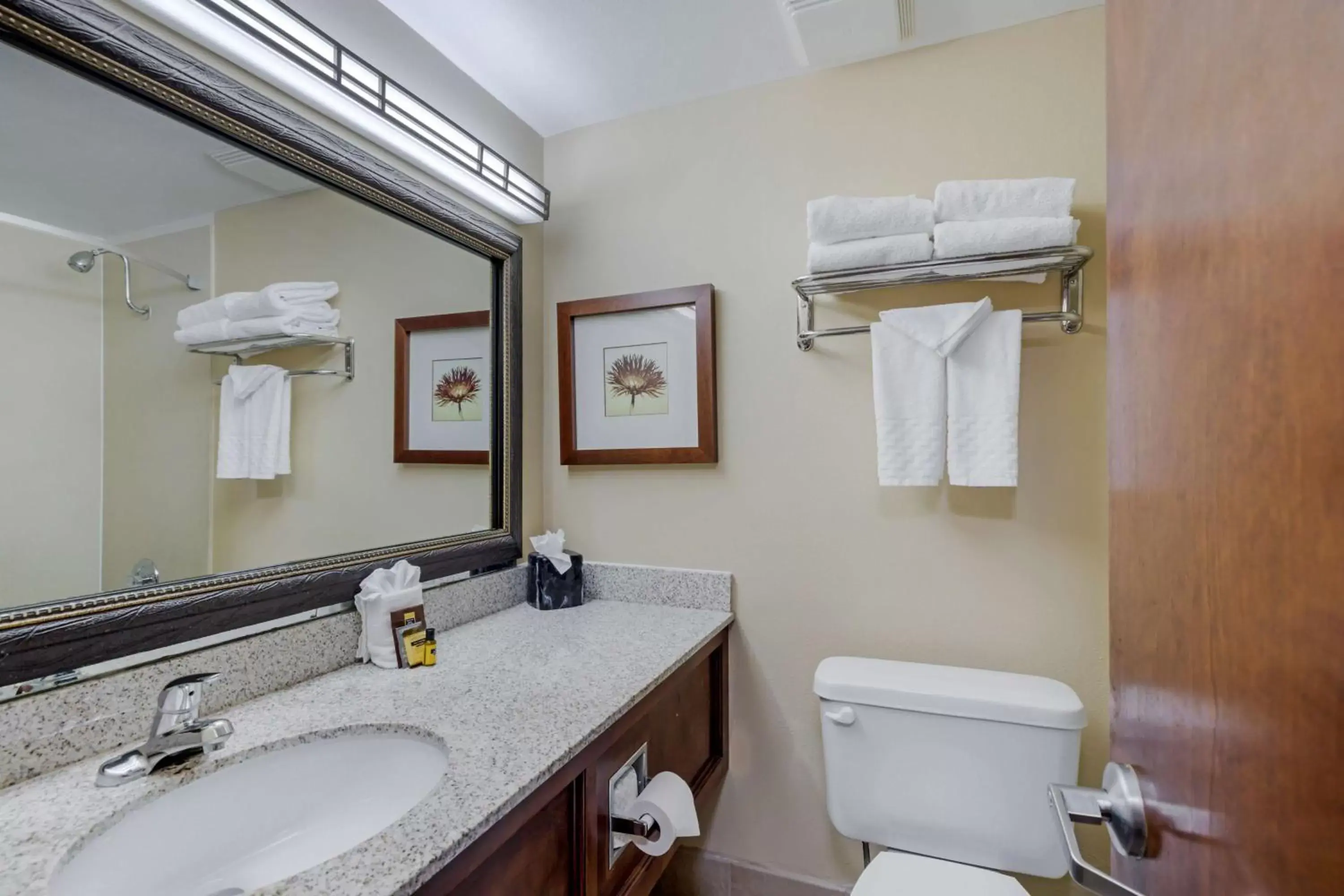 Bathroom in Best Western Plus Loveland Inn