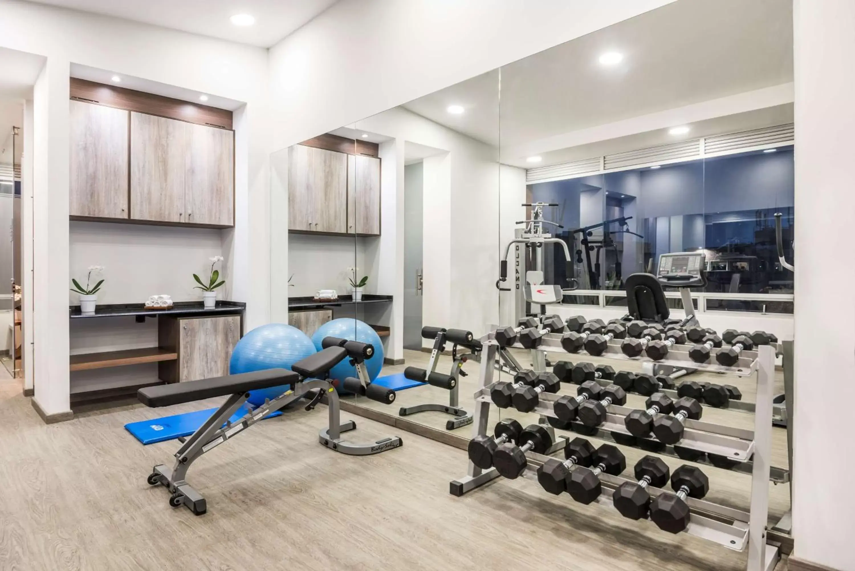 Spa and wellness centre/facilities, Fitness Center/Facilities in NH Bogota Urban 93 Royal
