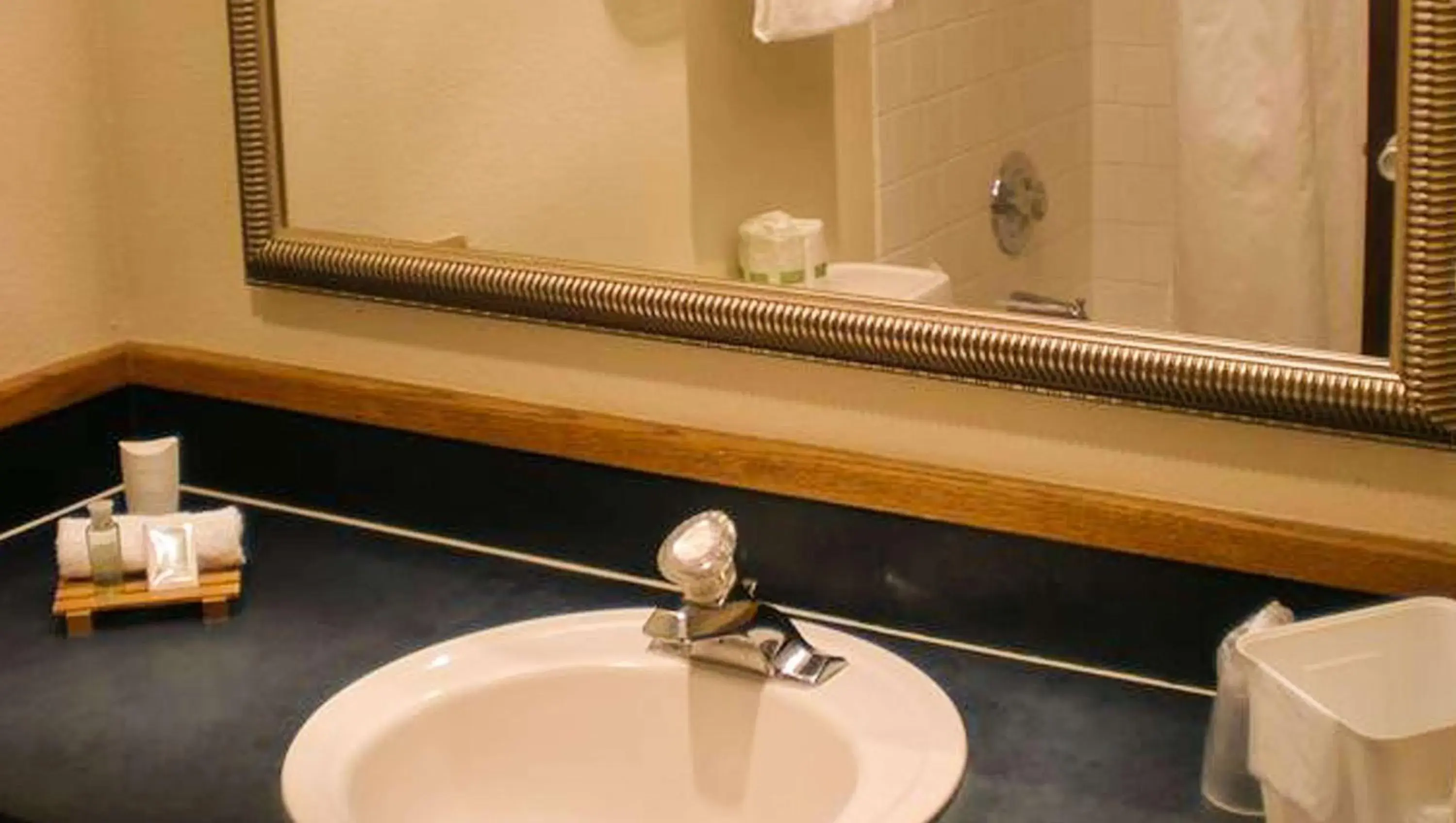 Bathroom in The La Grande Inn