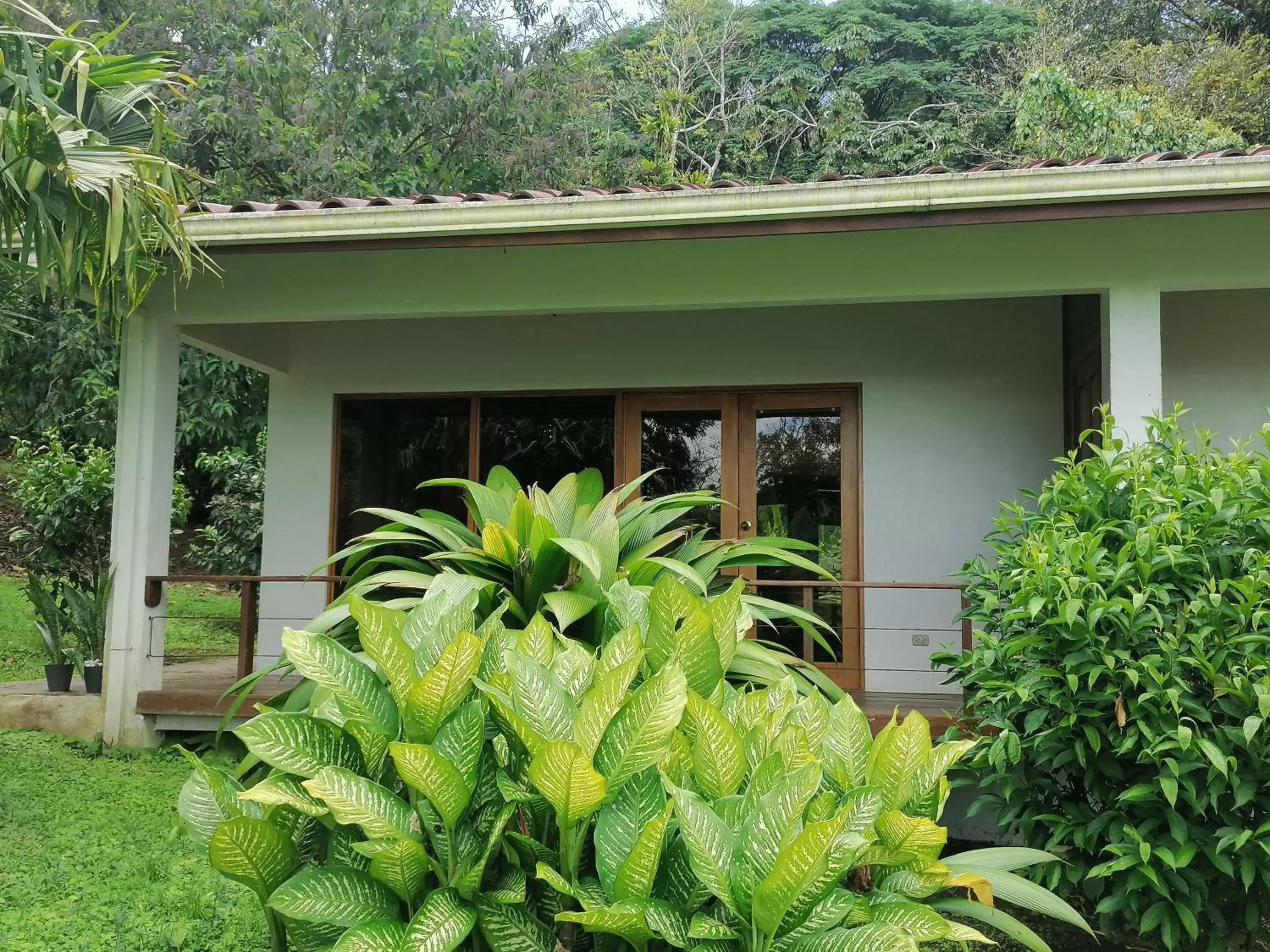 Property building in La Ceiba Tree Lodge