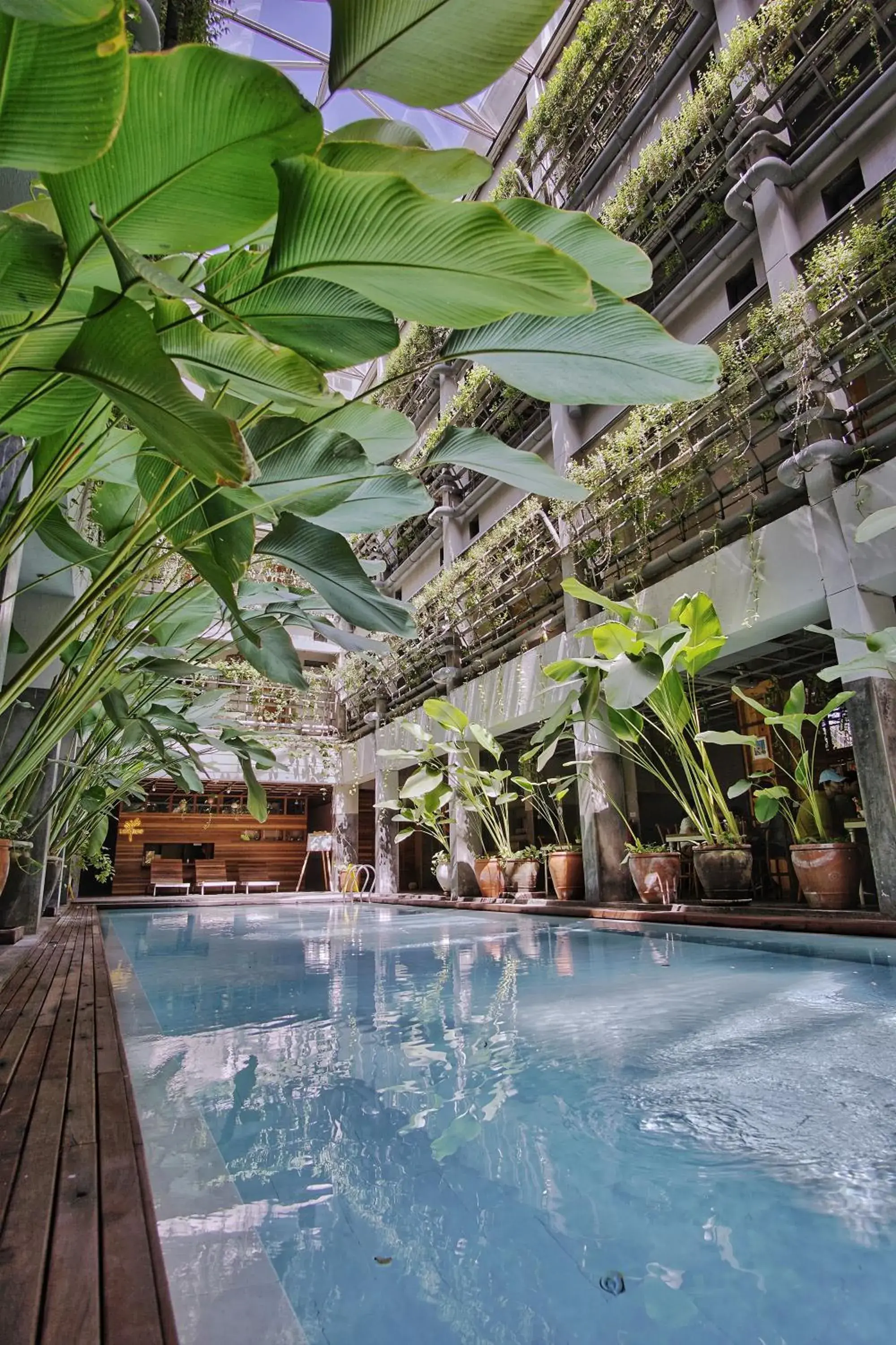 Garden, Swimming Pool in Greenhost Boutique Hotel Prawirotaman