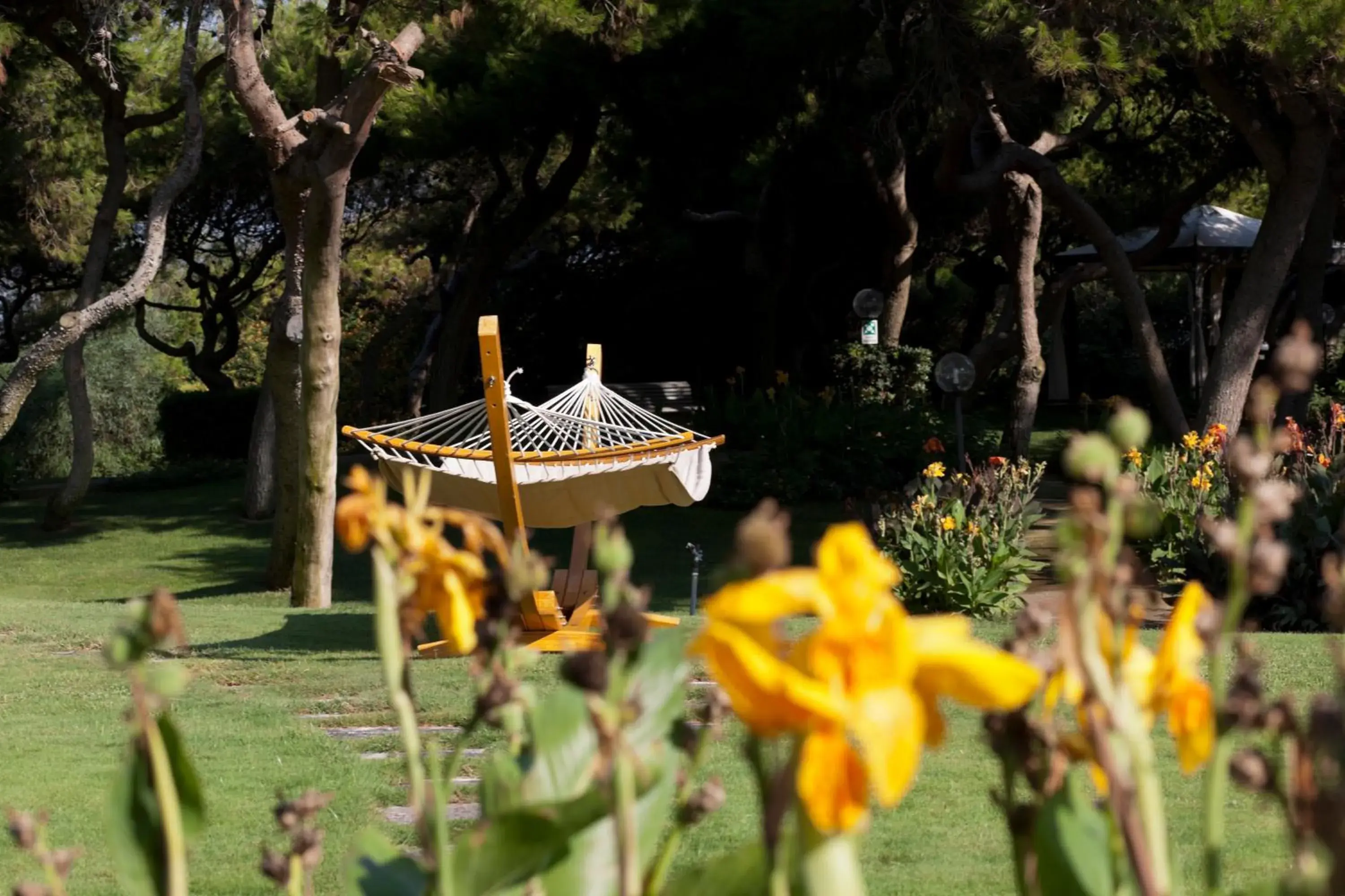 Garden in Grand Hotel Costa Brada