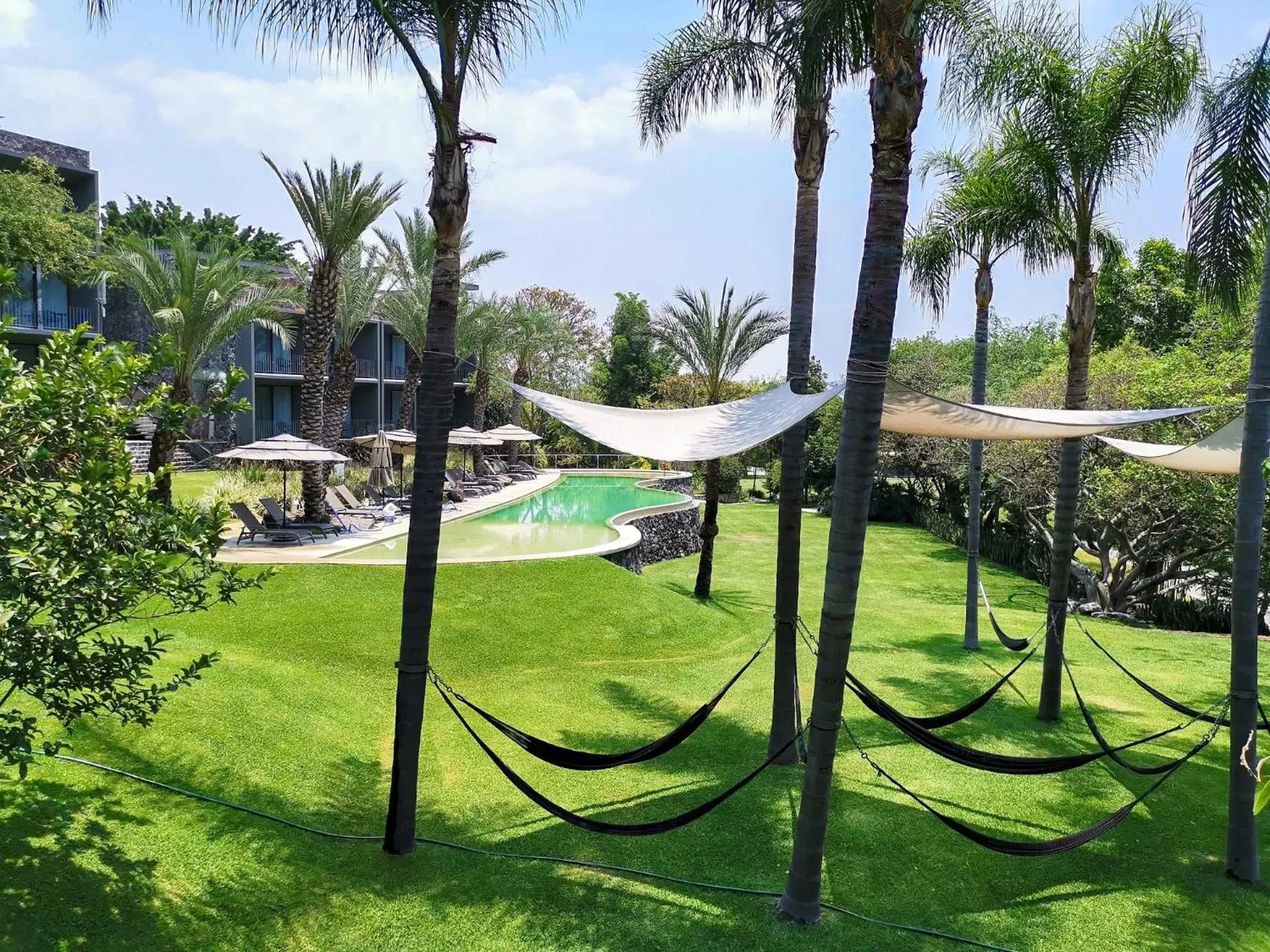 Pool view, Garden in Huayacán Cuernavaca Curamoria Collection