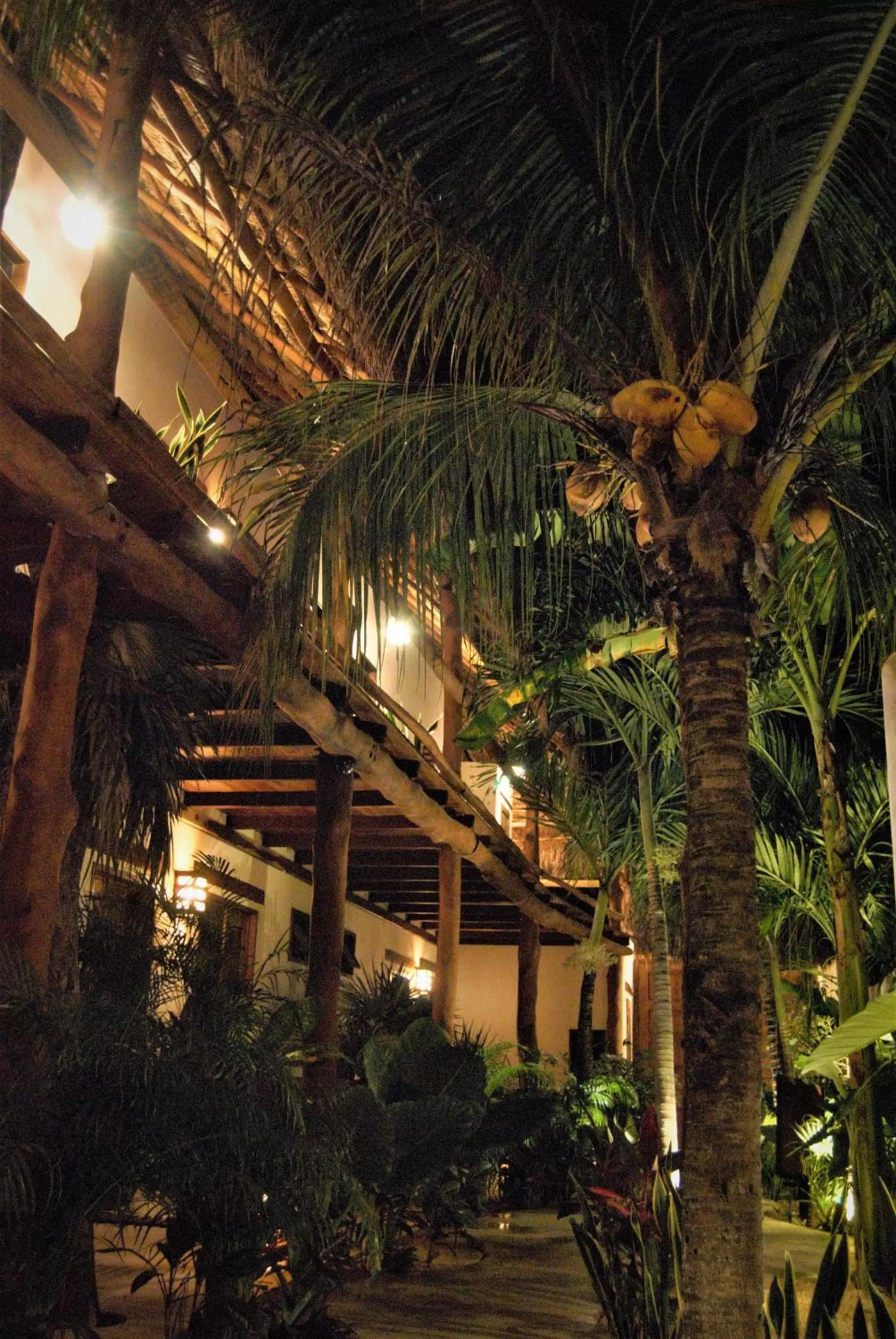 Property building in Hotel Boutique TerraNova