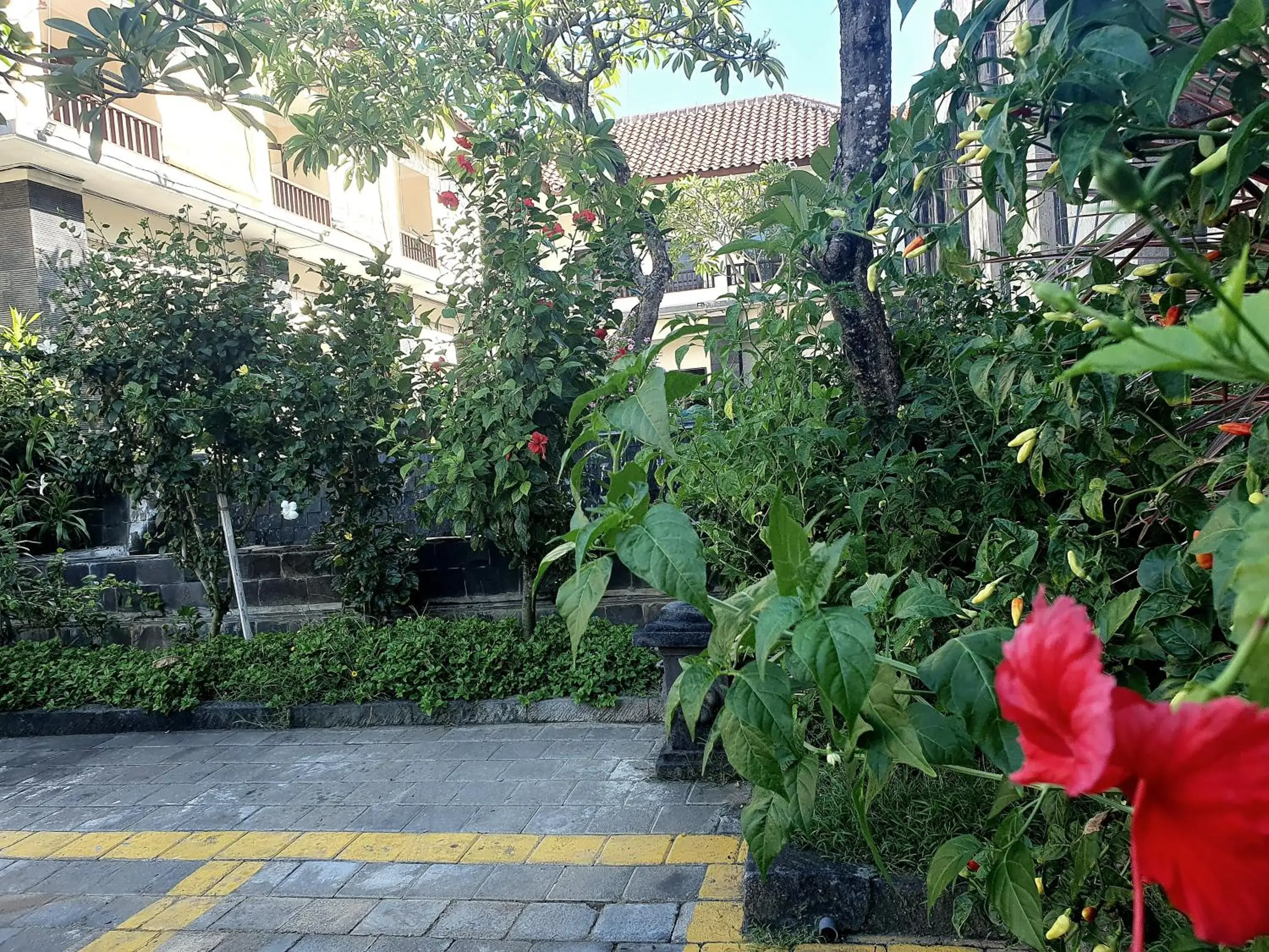 Garden, Property Building in Radha Bali Hotel