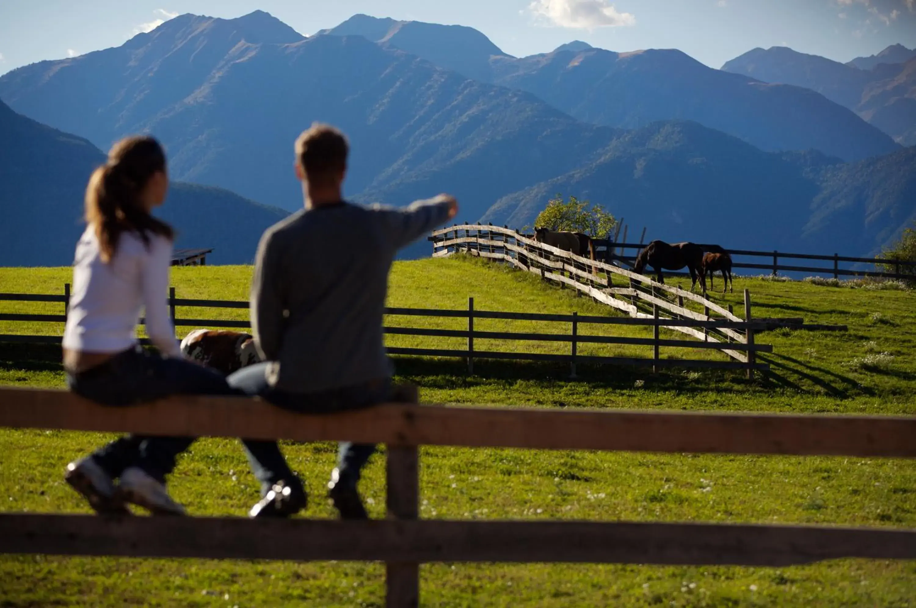 Horse-riding in Pineta Nature Resort - Wellness & SPA