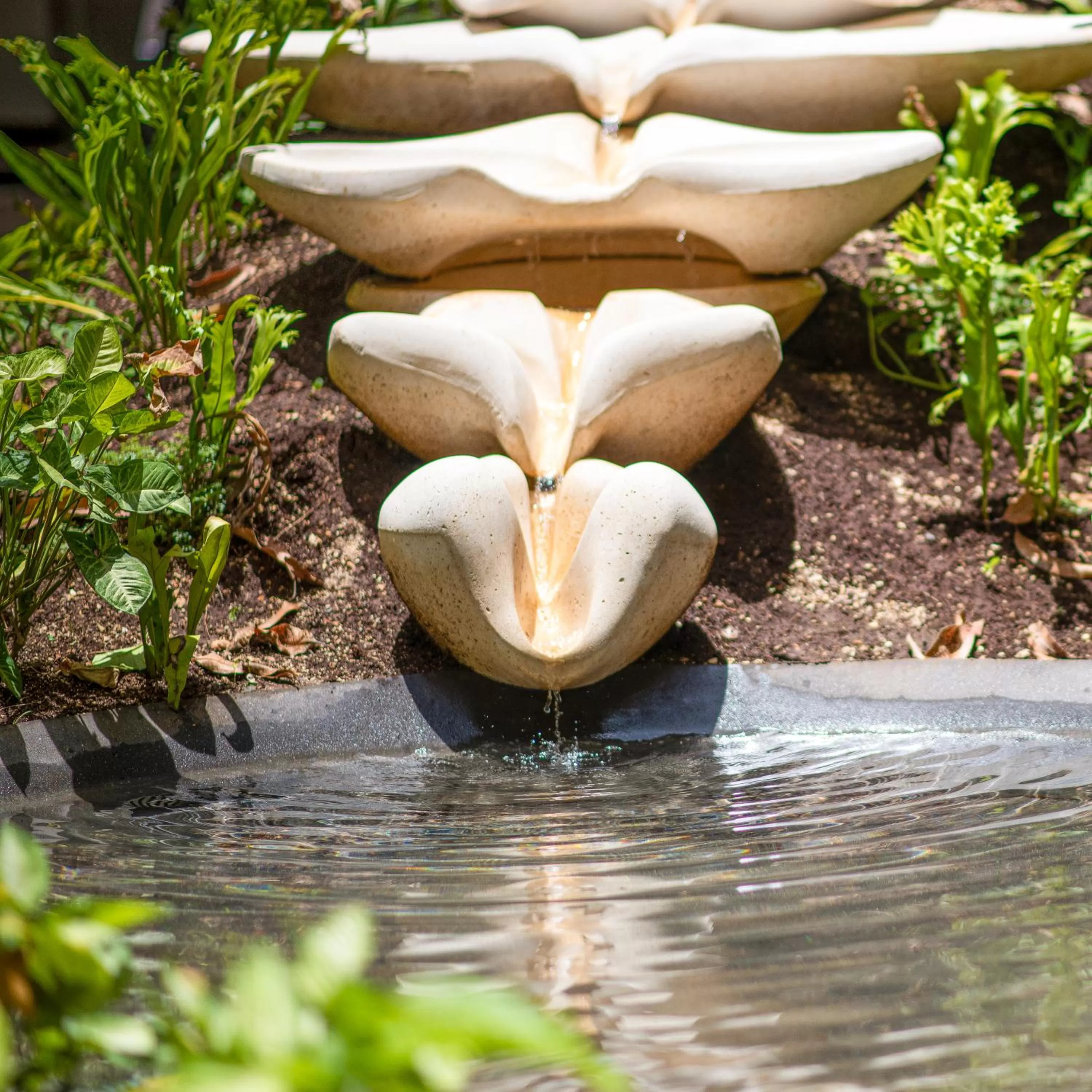 Other in Las Brisas Merida