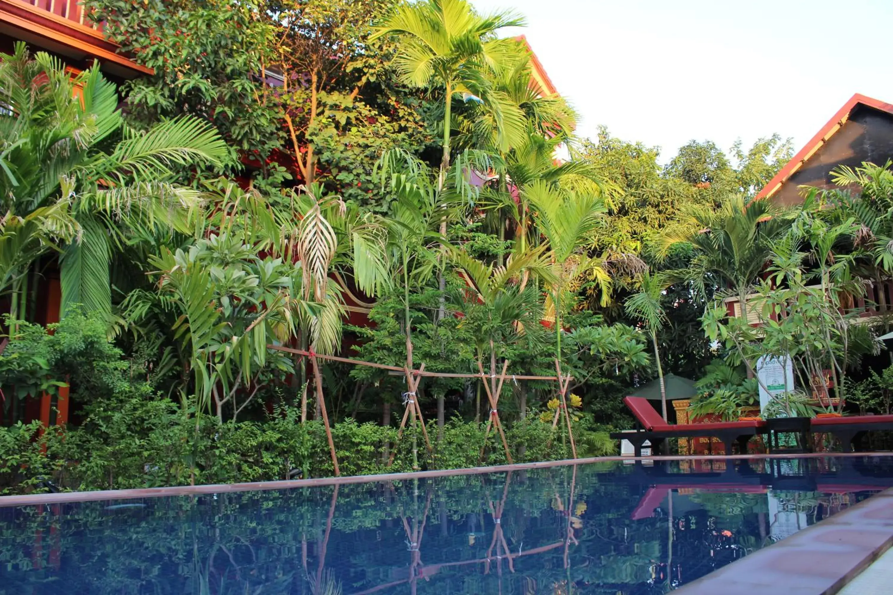 Swimming Pool in Bou Savy Guesthouse