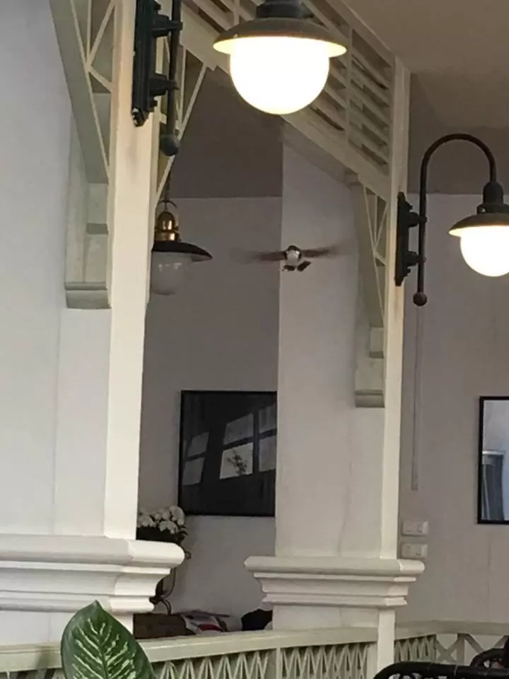 Property building in Villa Duangchampa