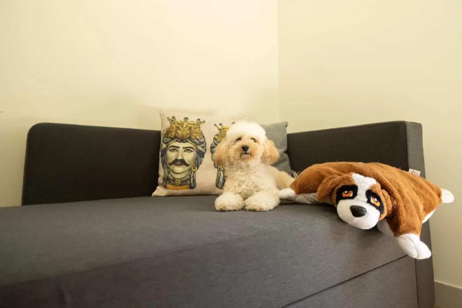 Pets in Kèramos Luxury Rooms