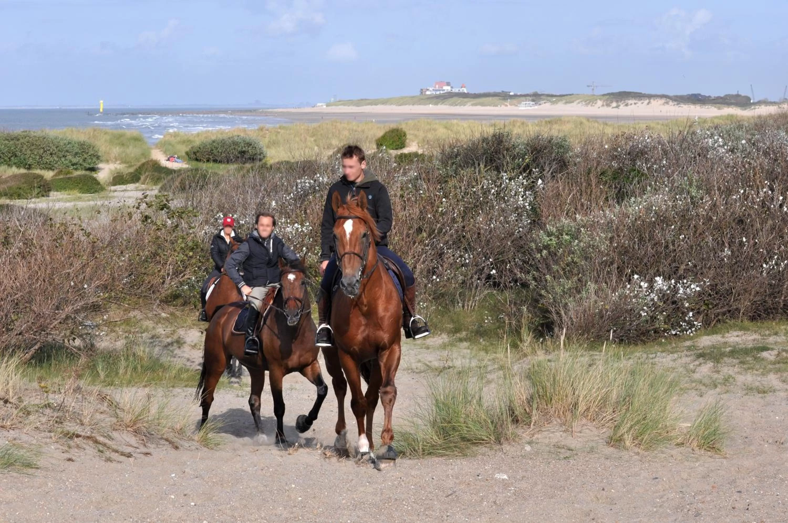 Horse-riding in B&B Aquavit
