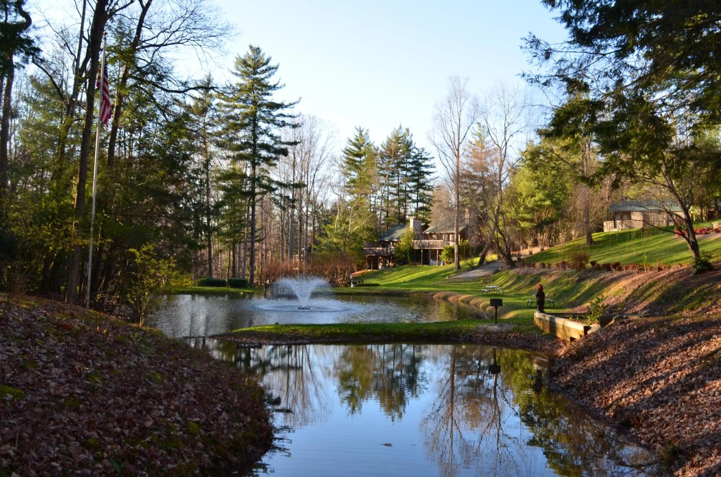 Bird's eye view in Asheville Cabins of Willow Winds