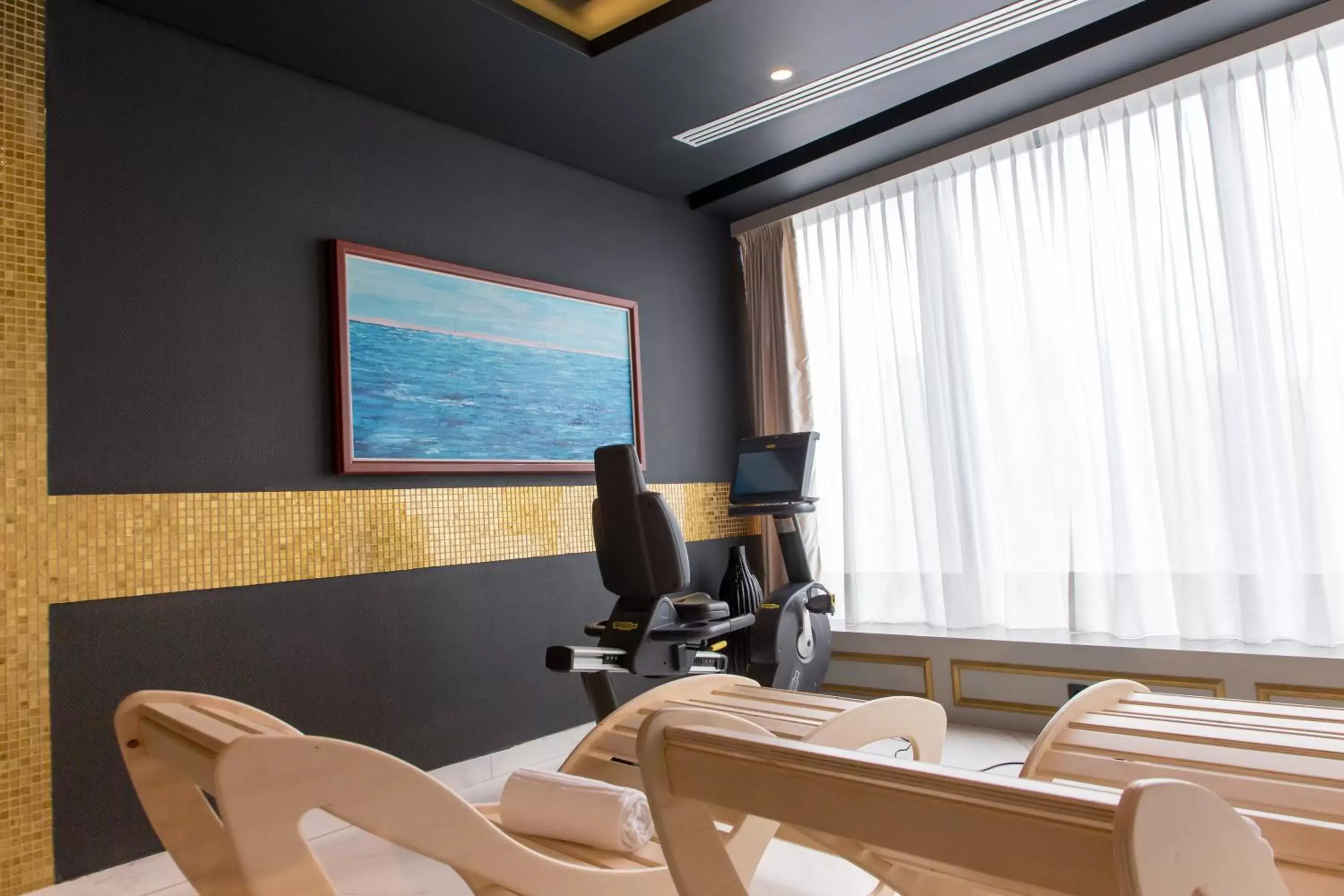 Fitness centre/facilities in Swissotel Sarajevo Fitness centre/facilities in Swissotel Sarajevo