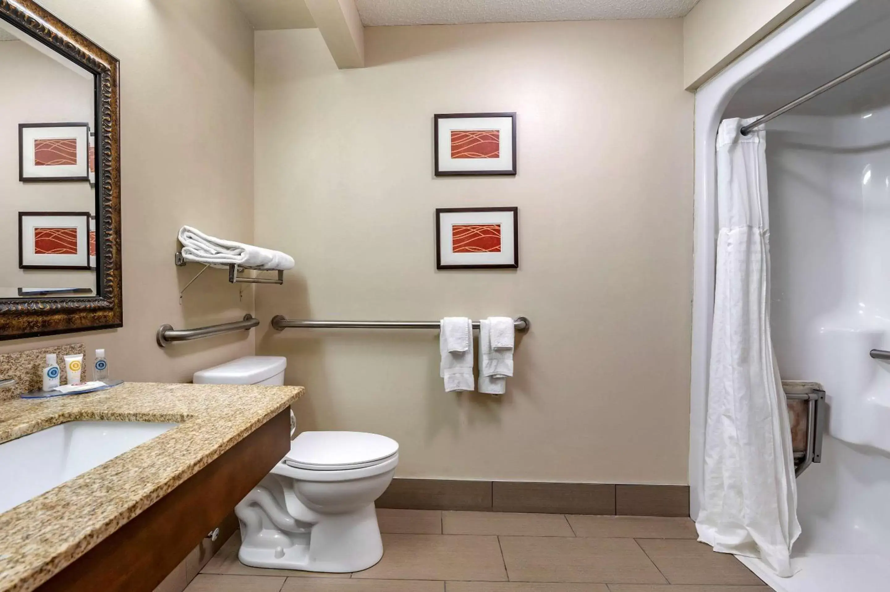 Bathroom in Comfort Inn Lexington Southeast