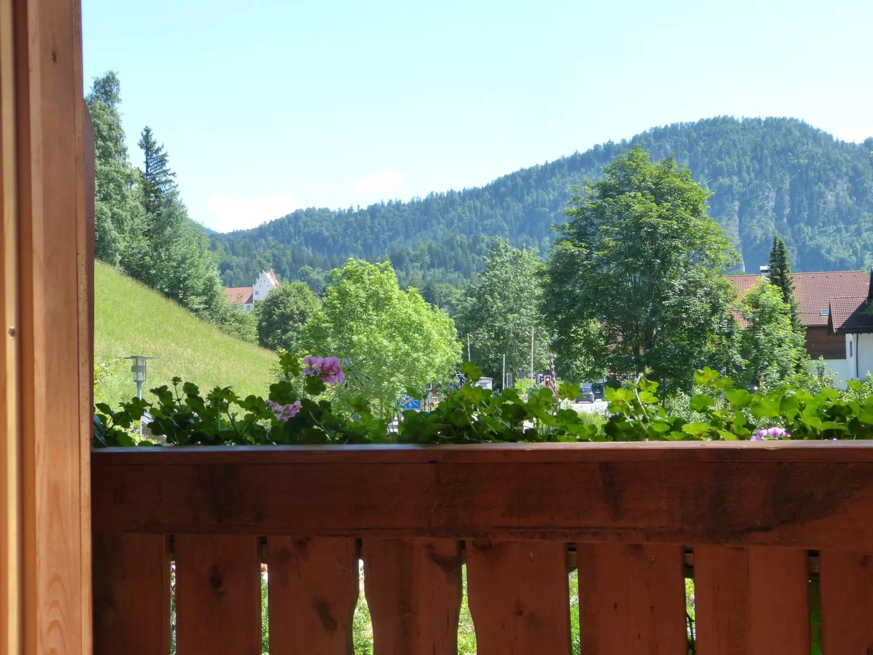 Area and facilities, Mountain View in Suzanne's B&B & Gardens