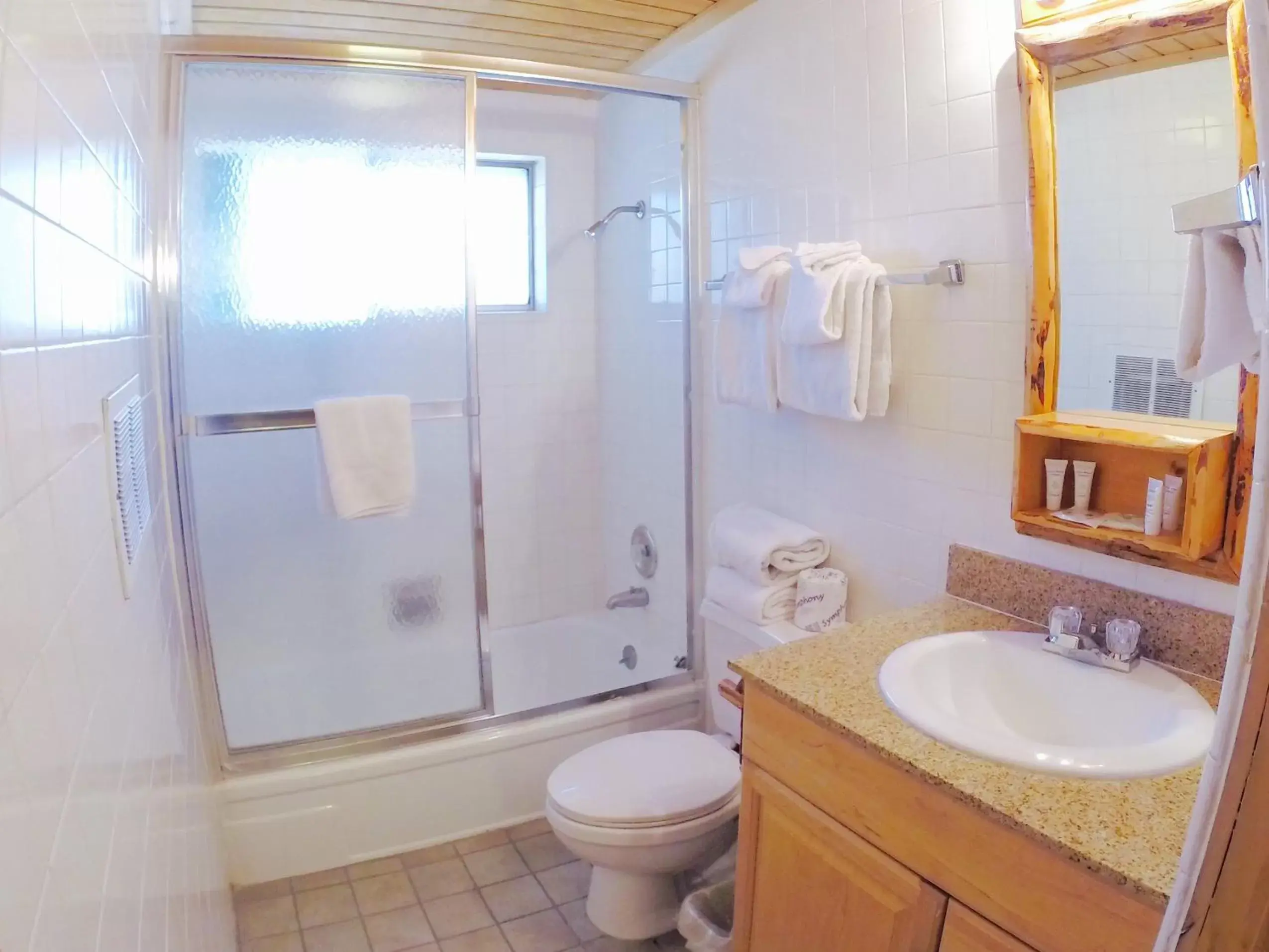 Bathroom in Big Bear Frontier