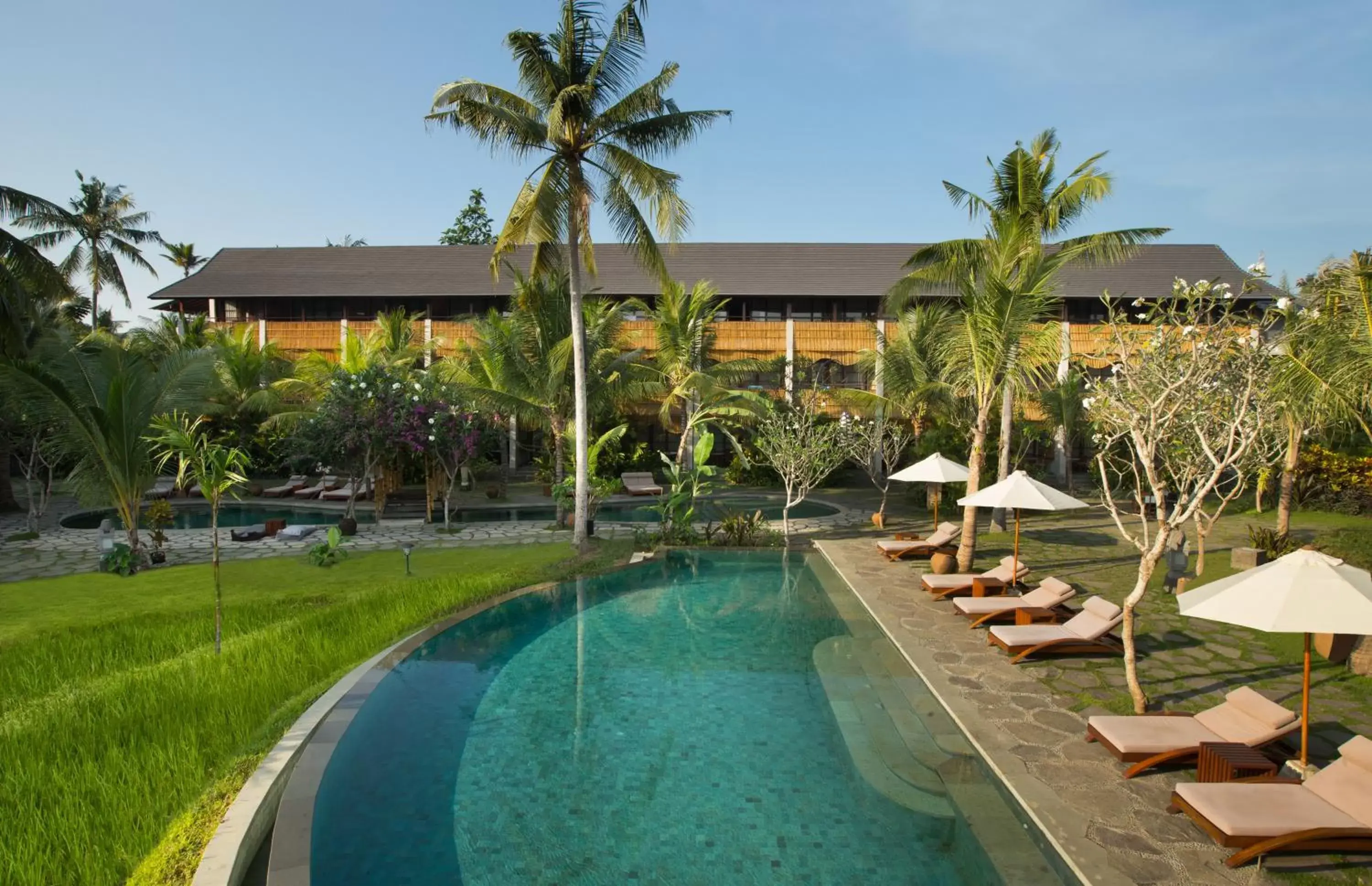 Pool view, Swimming Pool in Alaya Resort Ubud