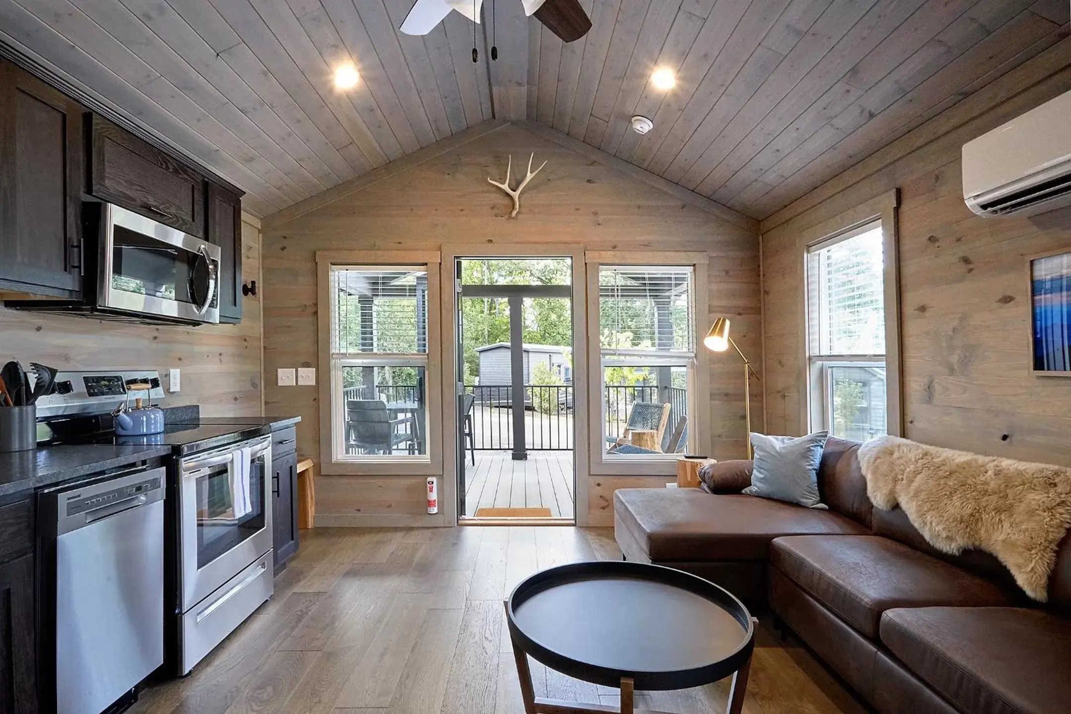 Living room, Kitchen/Kitchenette in Asheville River Cabins