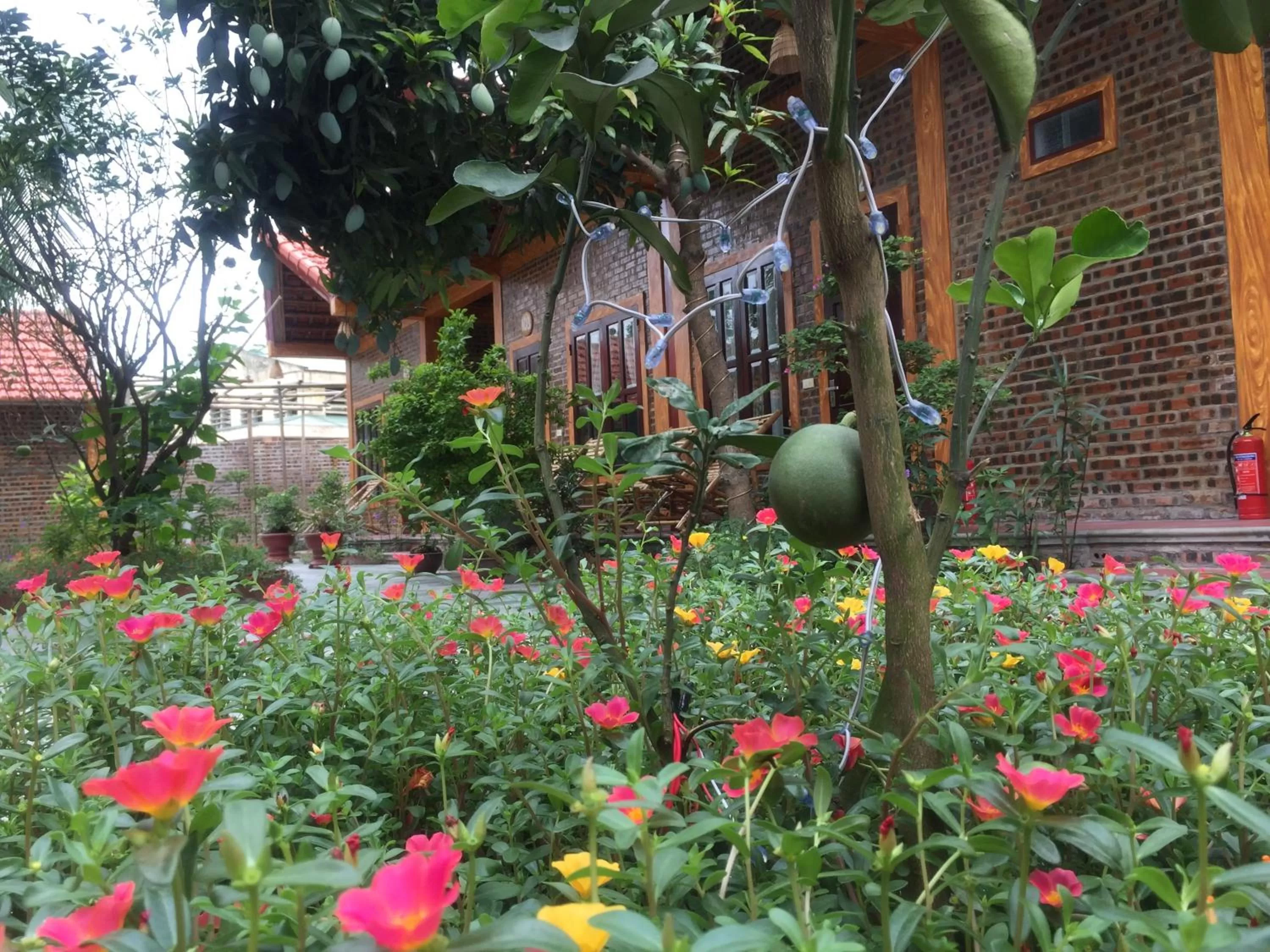 Property building in Tam Coc Vinh Thinh Homestay