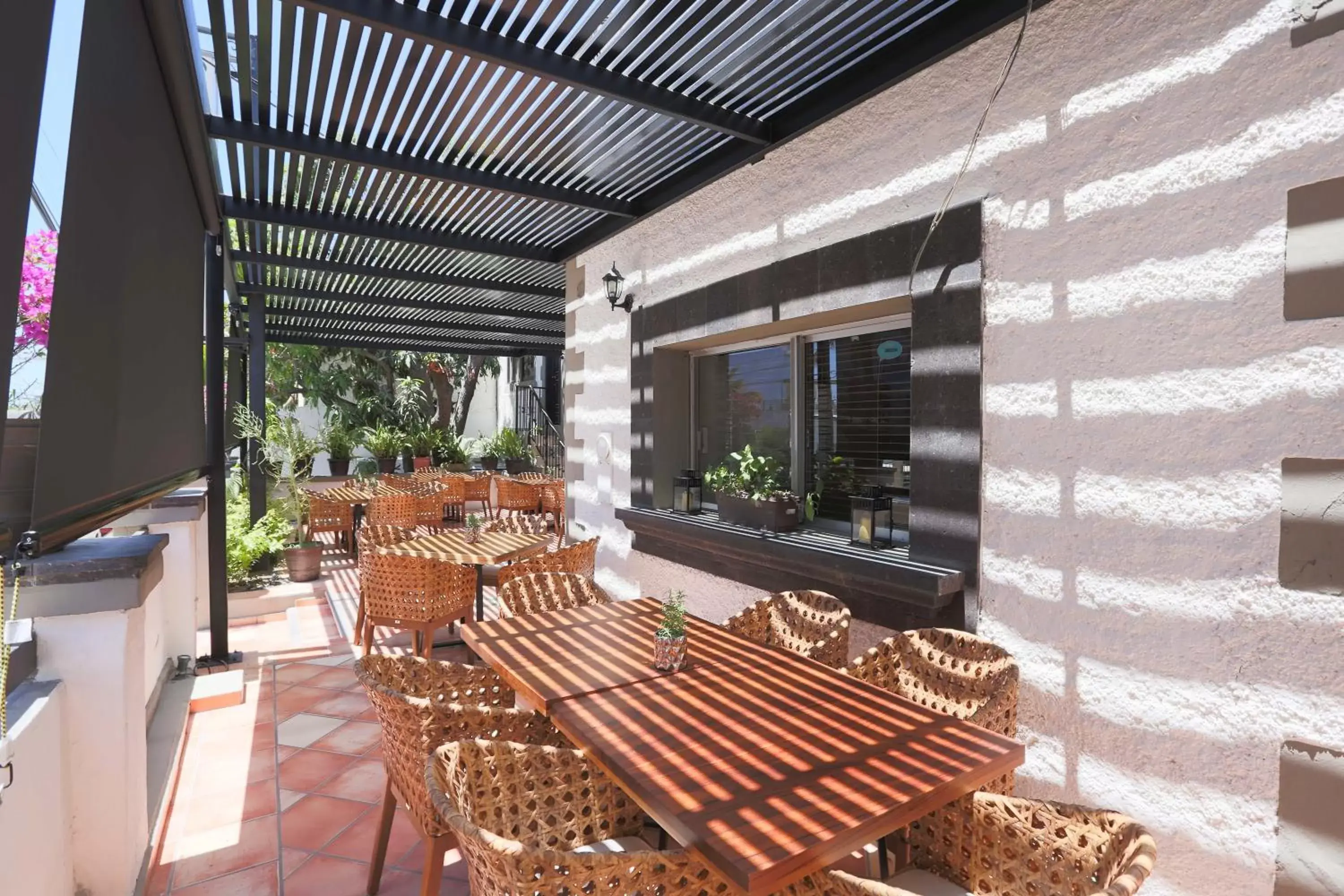 Restaurant/places to eat in Hotel Posada Terranova