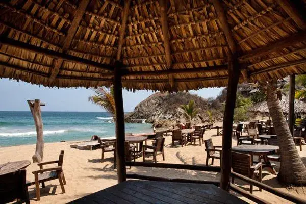 Restaurant/places to eat, Beach in El Alquimista Yoga Spa