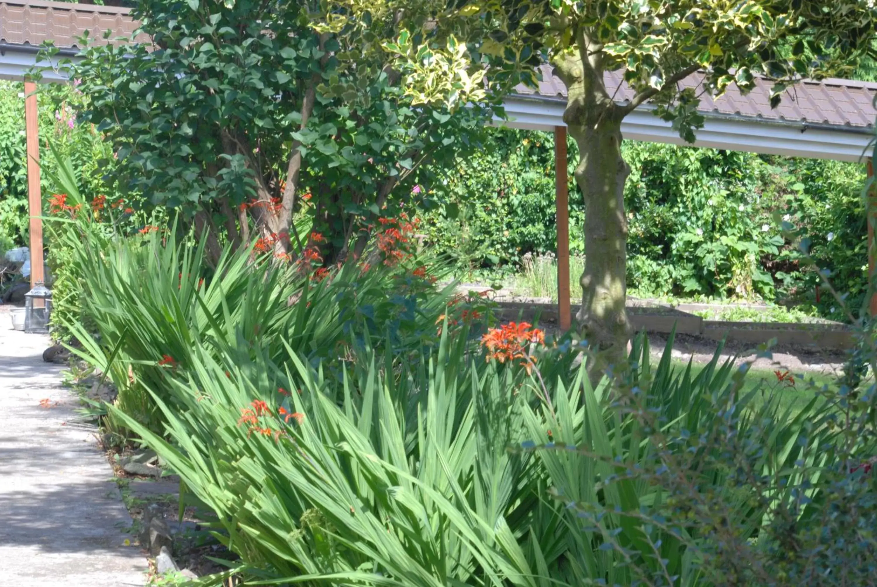 Garden in The Radnorshire Arms Hotel