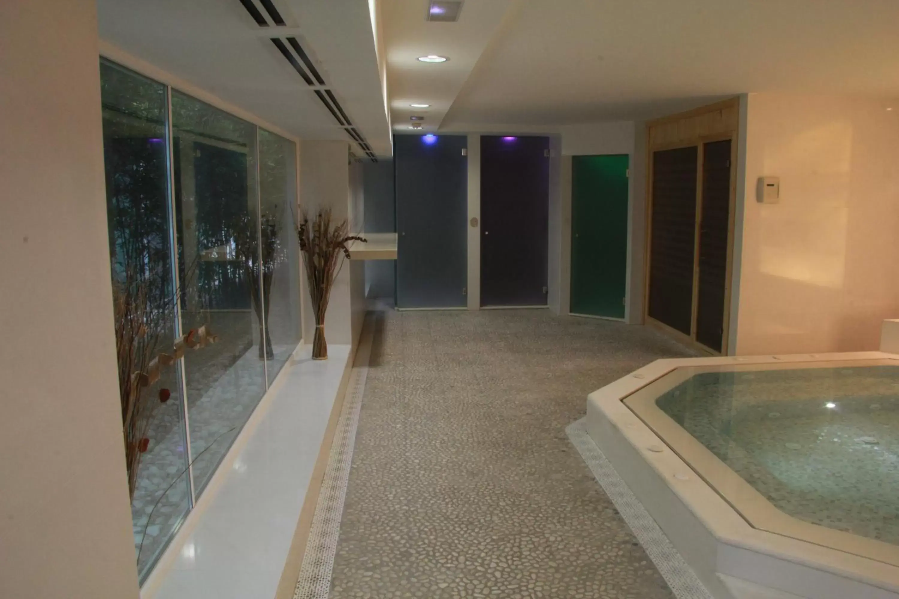 Hot Spring Bath, Swimming Pool in Del Mar Hotel & Spa