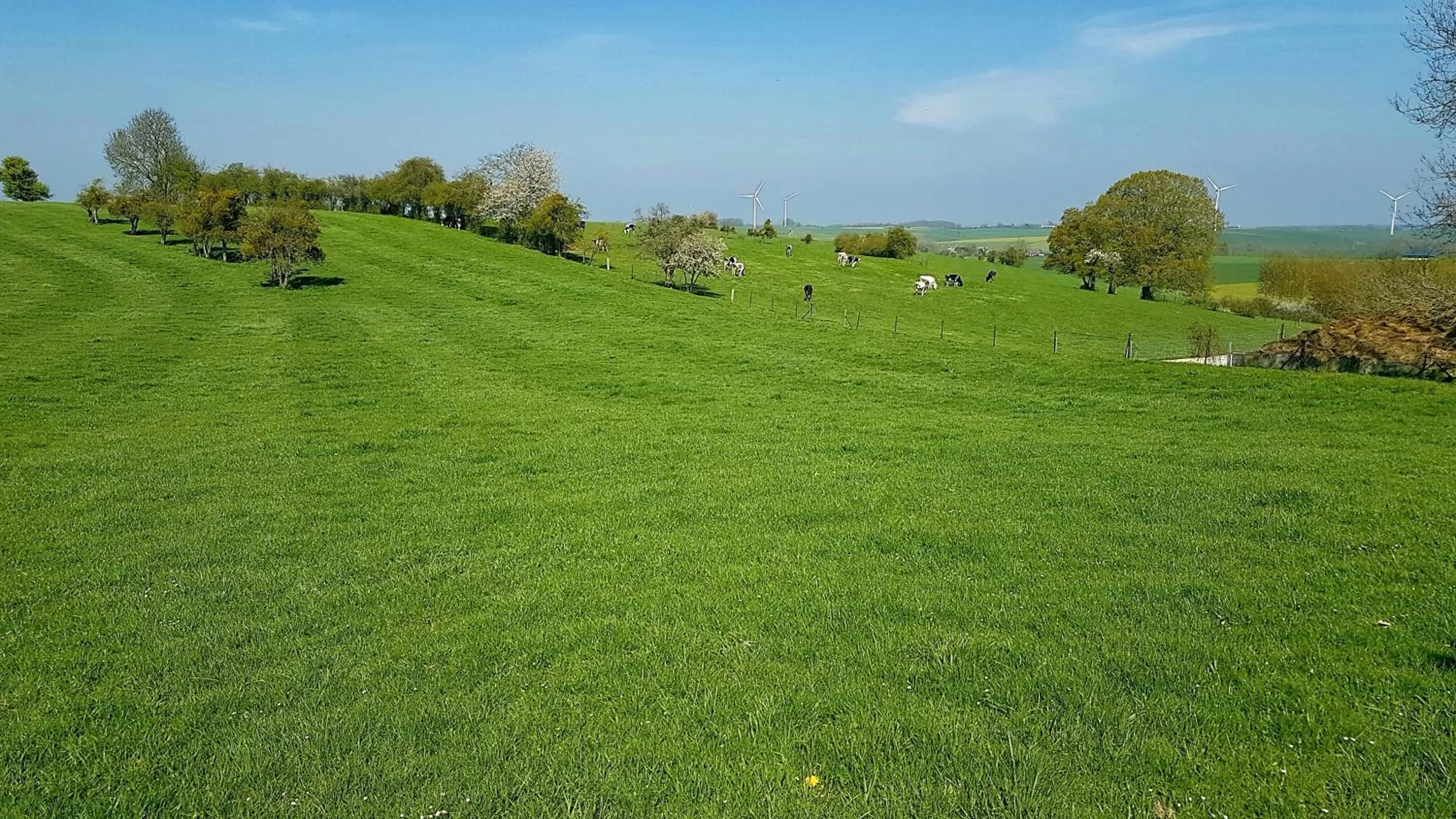 Natural landscape in Au Chapitre