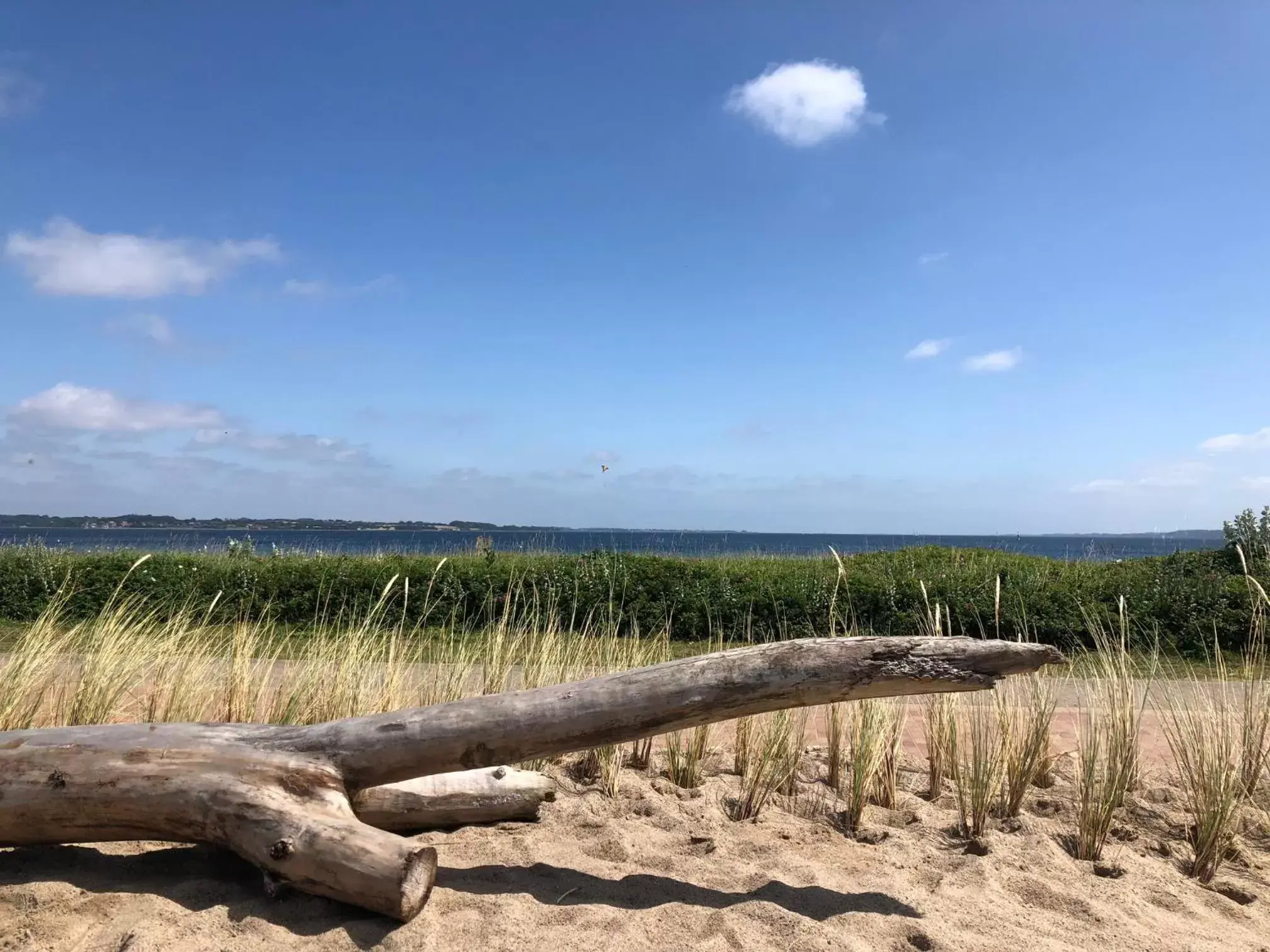 Natural Landscape in Ostsee-Strandhaus-Holnis