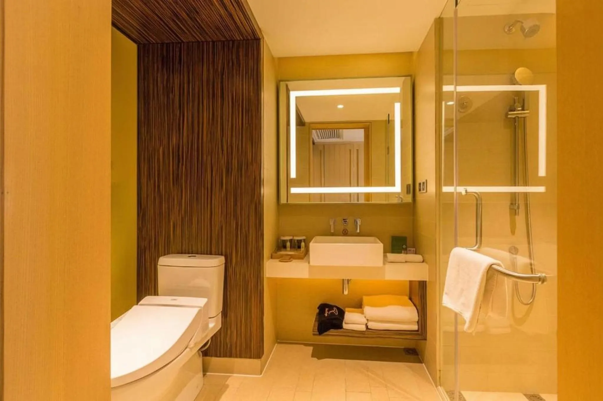 Toilet in Hilton Garden Inn Xi'an High-Tech Zone