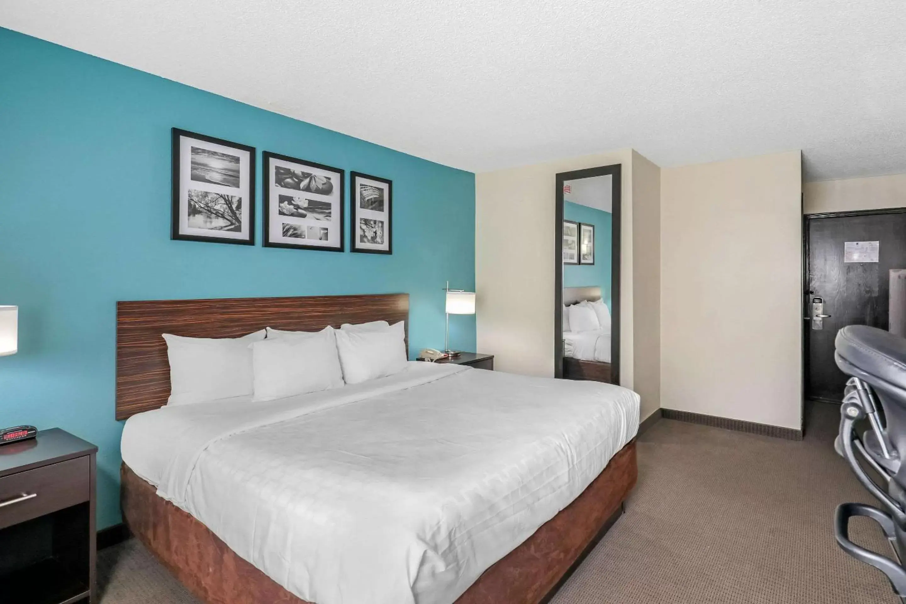 Photo of the whole room, Bed in Clarion Inn & Suites DFW North