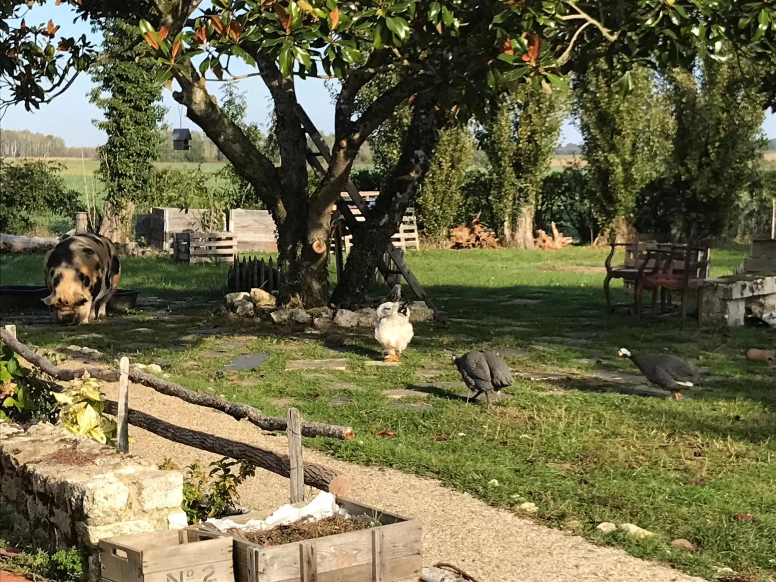 Garden in Chez Gustave & Compagnie