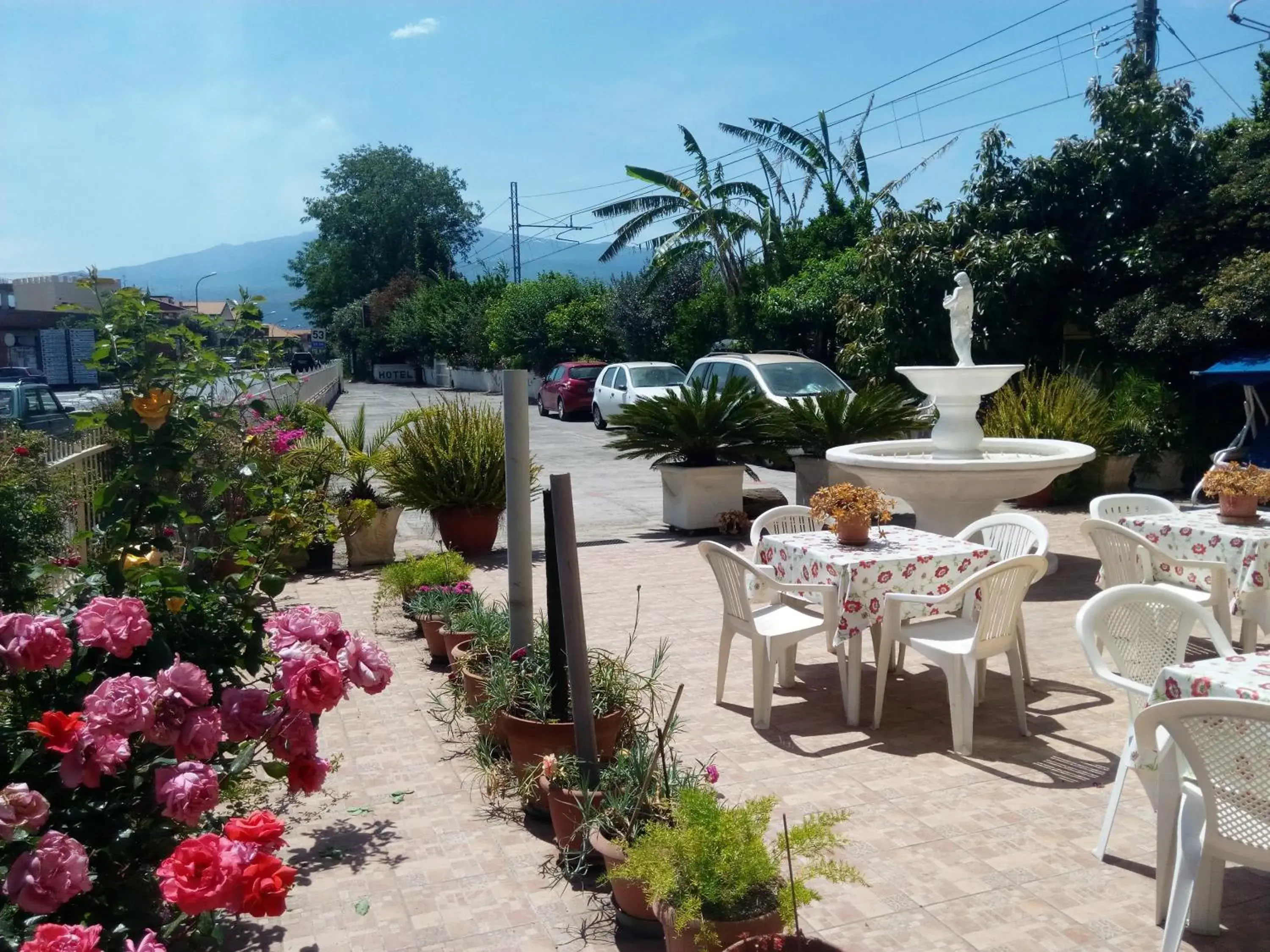 Garden in Hotel Eliseo