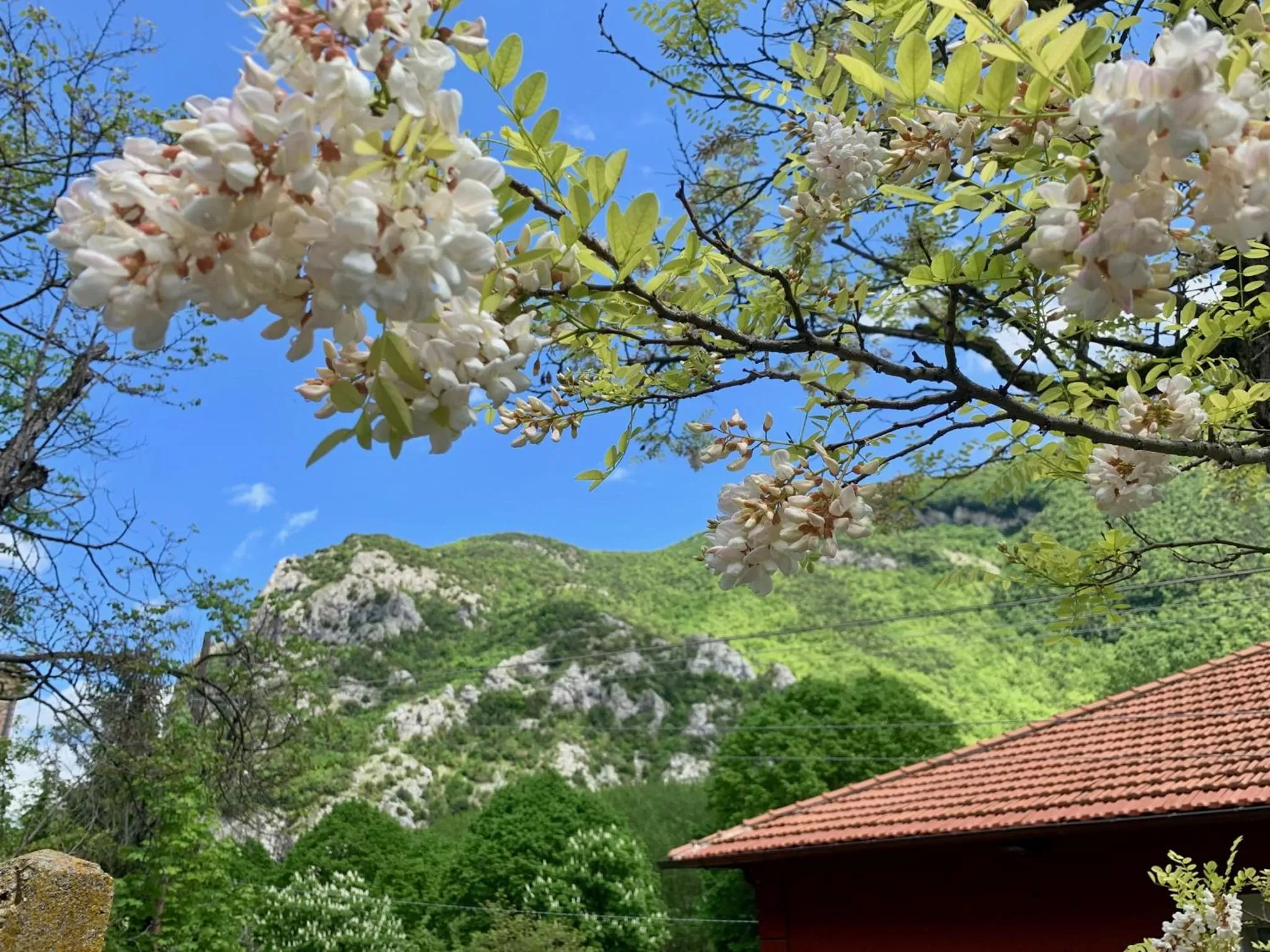 Spring in La Forestale Luxury Ecolodge B&B Primo Piano