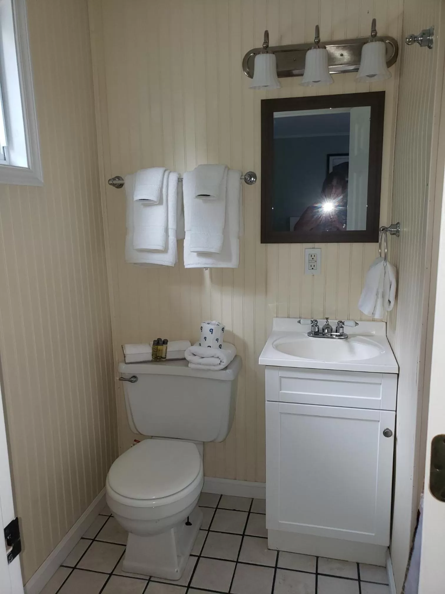 Bathroom in Blue Ridge Motel