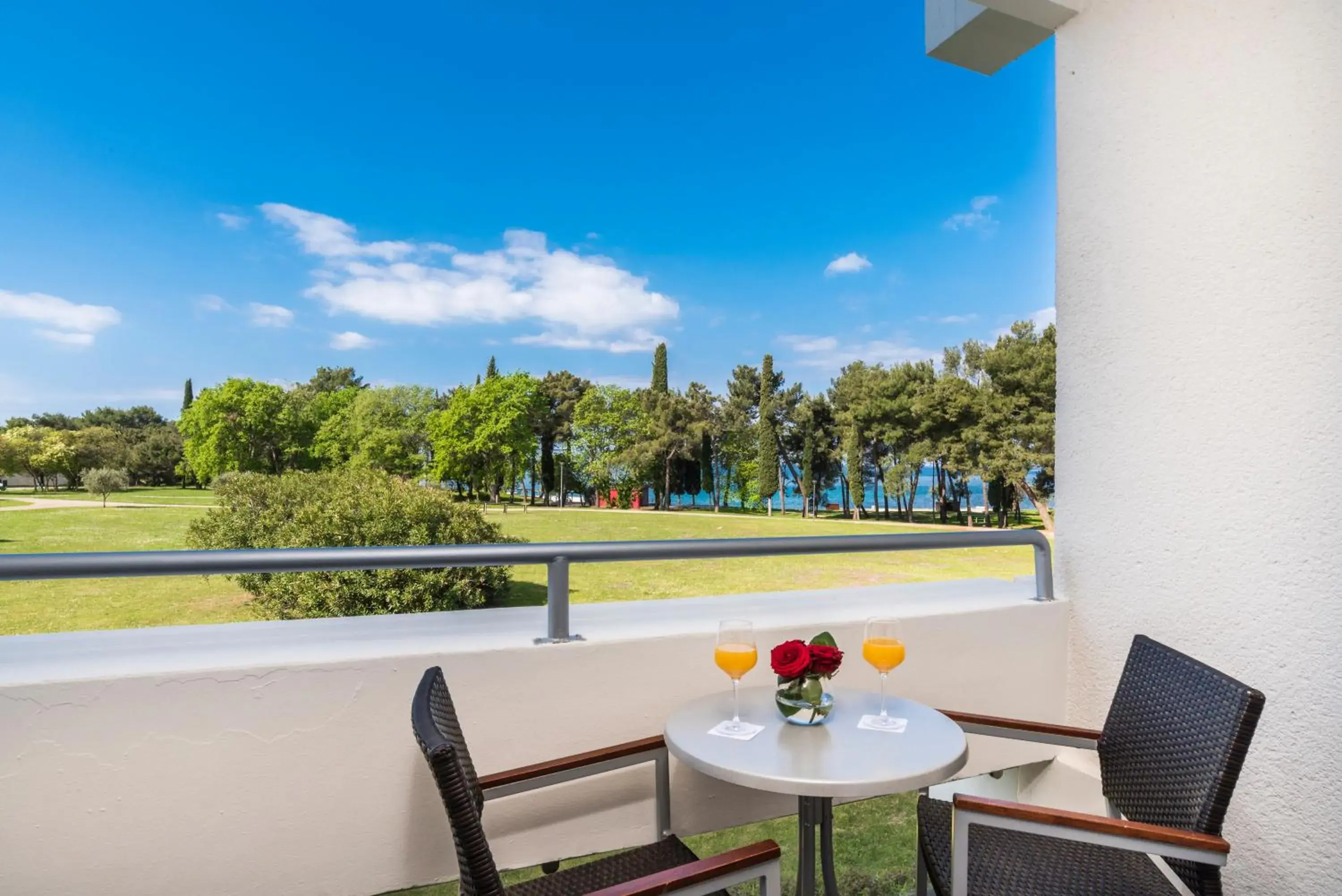 Balcony/Terrace, Patio/Outdoor Area in Hotel Melia Coral for Plava Laguna