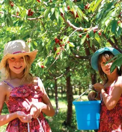 Children in B&b SAN LORENZO