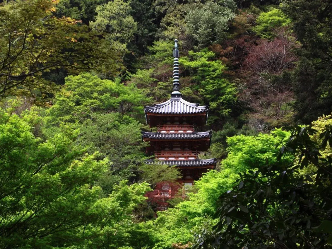 Off site, Bird's-eye View in Kyoto Uji Hanayashiki Ukifune-En