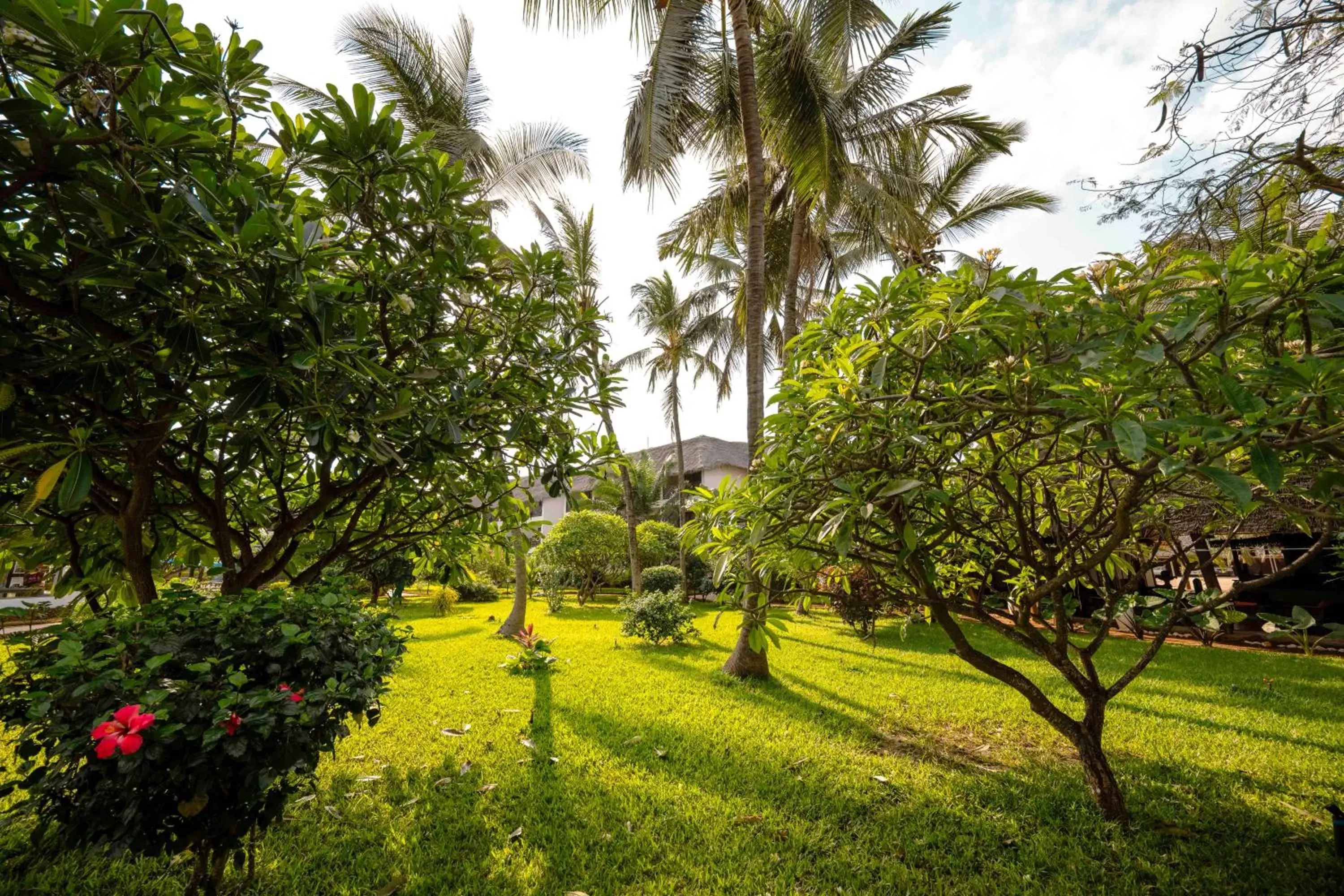 Garden view, Garden in Nungwi Beach Resort by Turaco