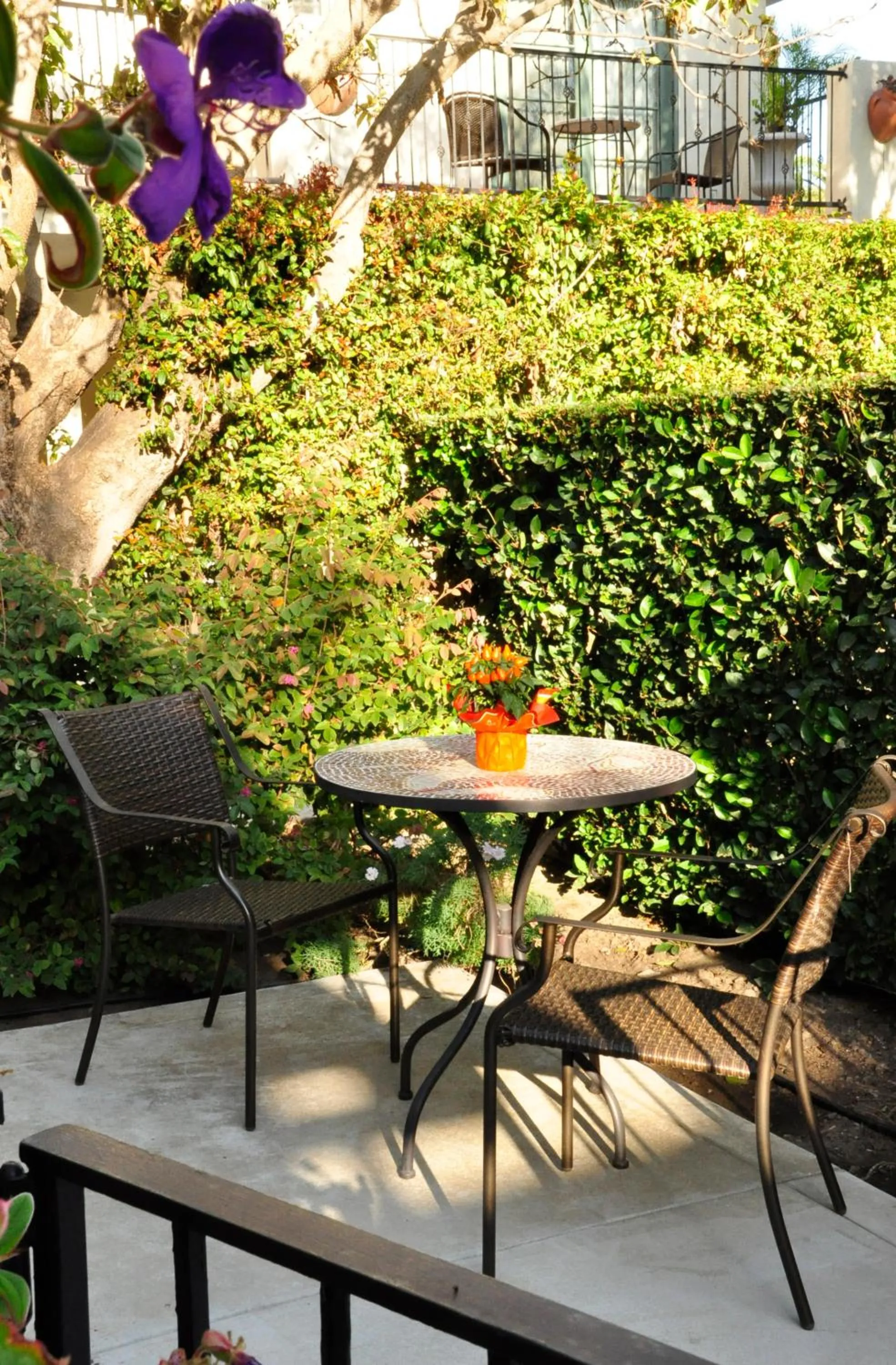 Other in The Eagle Inn