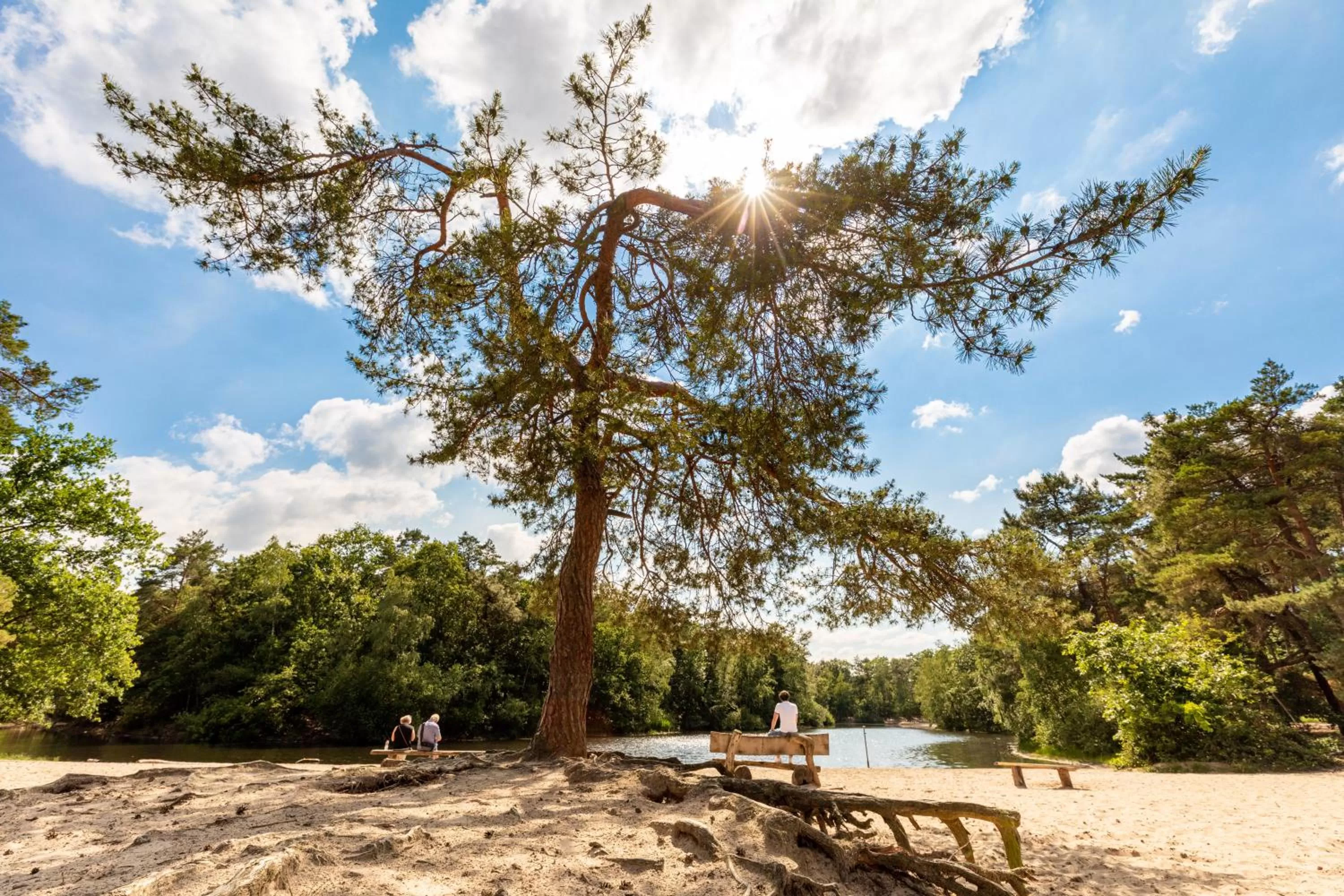 Off site in Pullman Eindhoven Cocagne