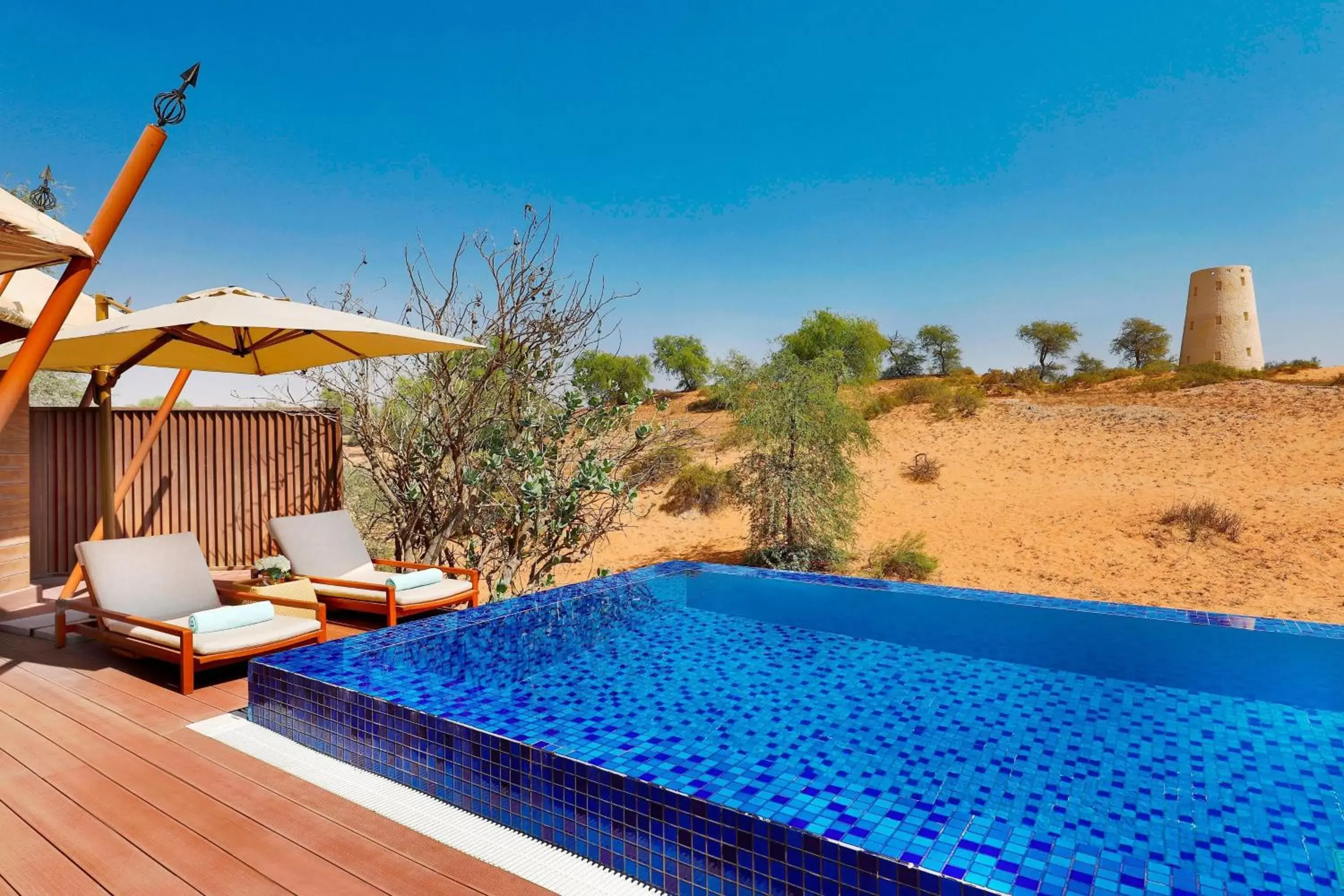 Swimming Pool in The Ritz-Carlton Ras Al Khaimah, Al Wadi Desert