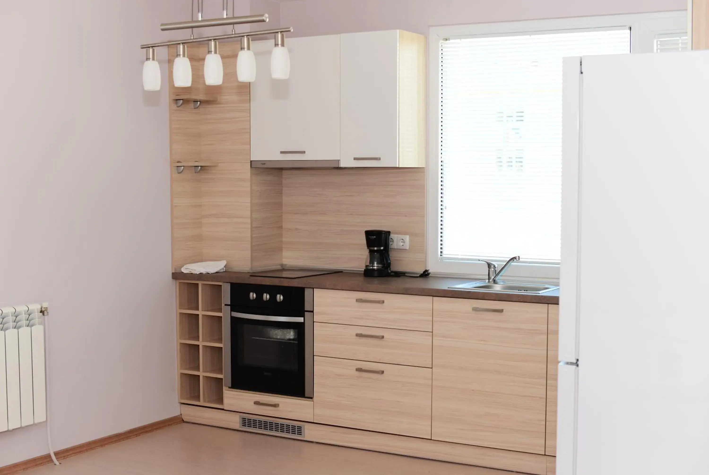 Kitchen or kitchenette, Kitchen/Kitchenette in Family Hotel Dalis