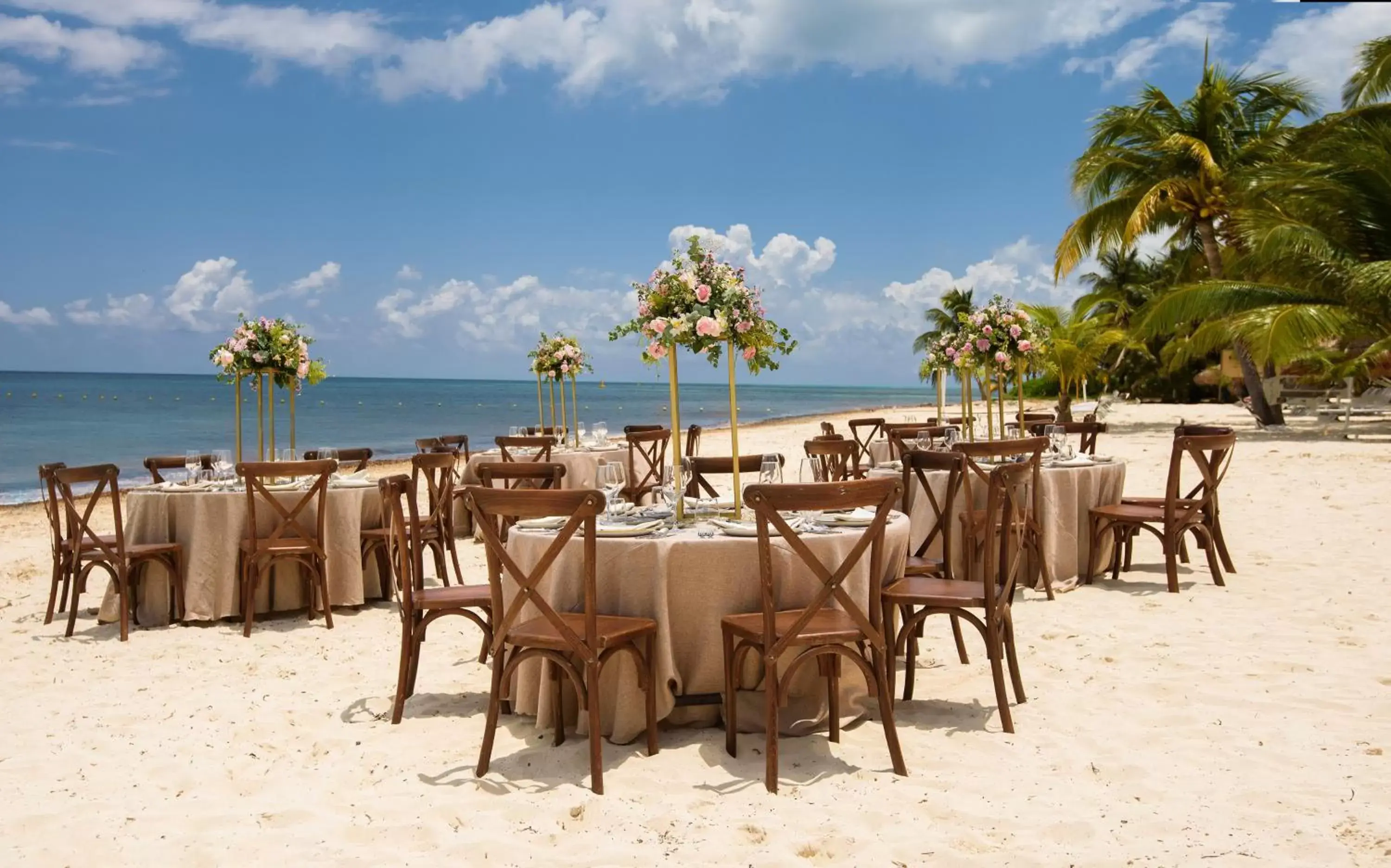 Beach, Restaurant/Places to Eat in Melia Cozumel All Inclusive