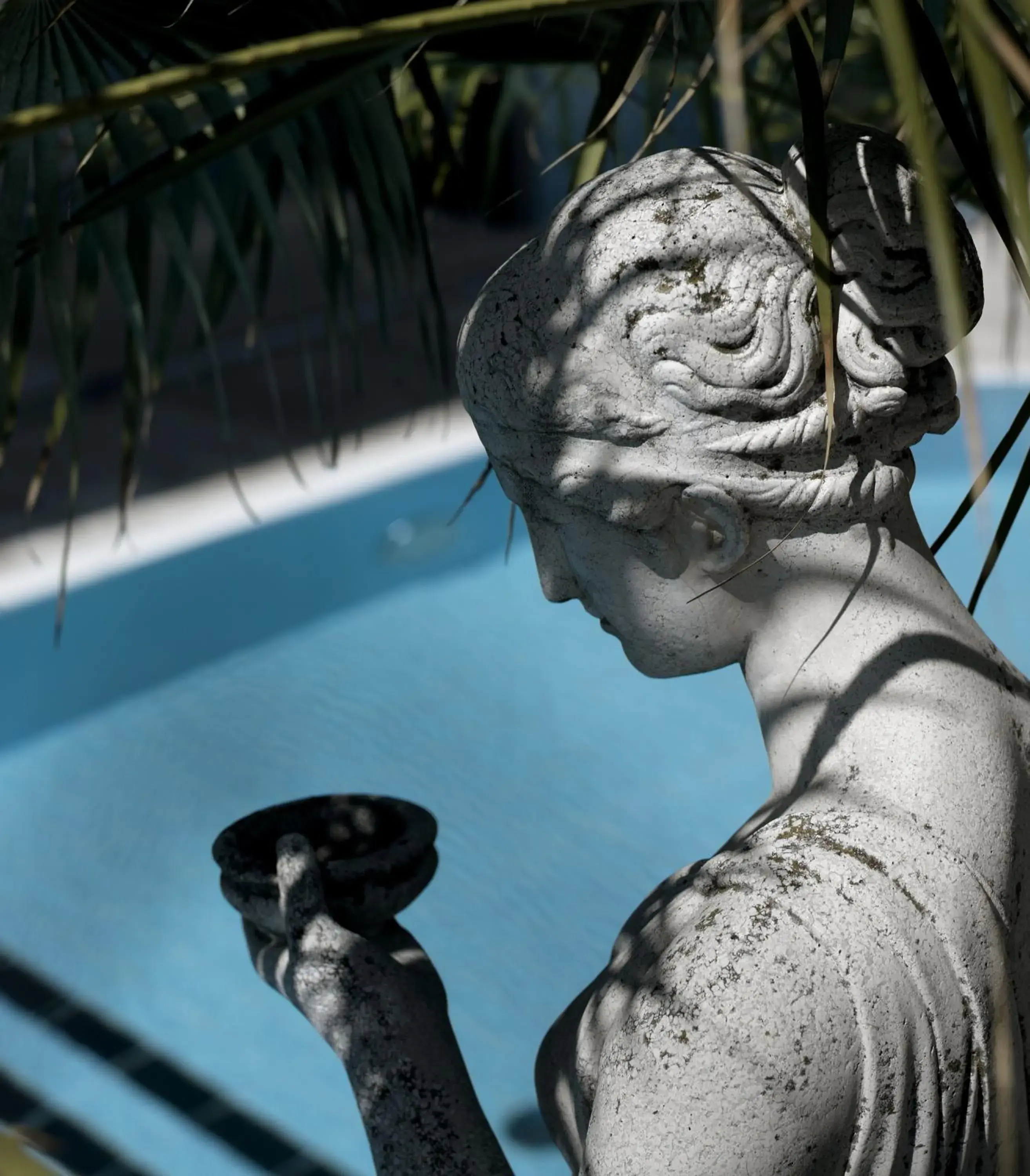 Swimming Pool in Hotel Feldberg