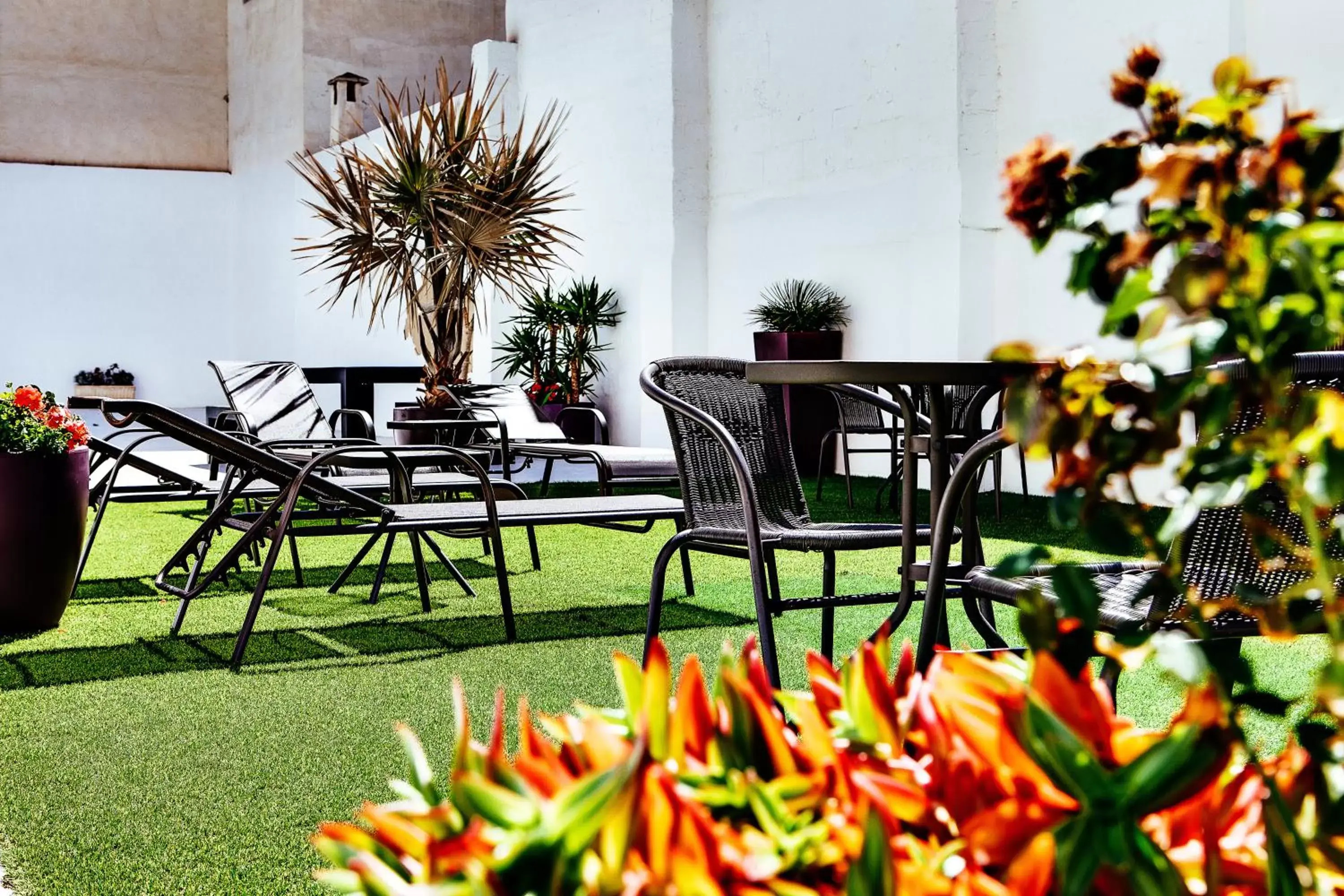 Balcony/Terrace in Hotel Madrid