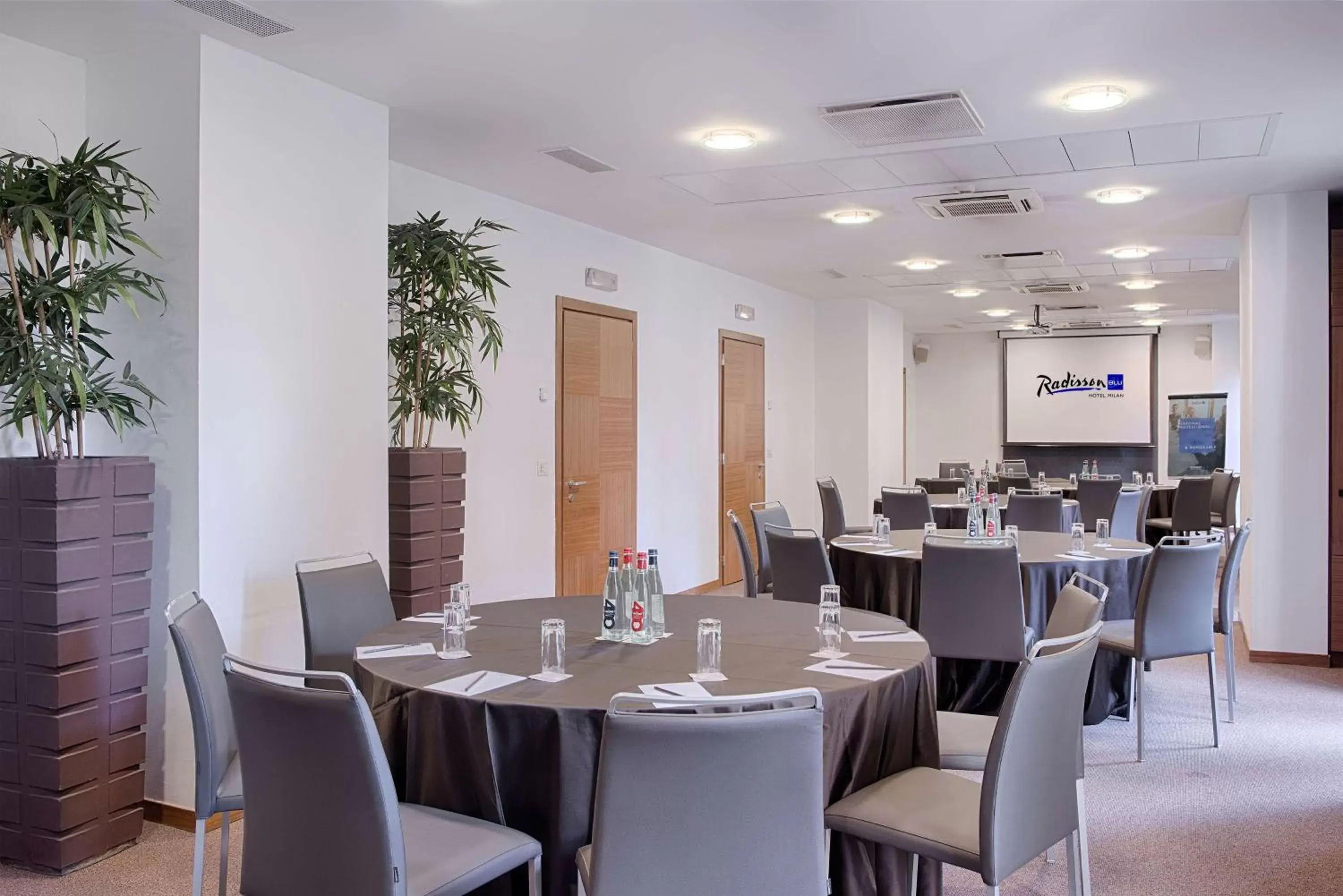 Business facilities in Radisson Blu Hotel Milan